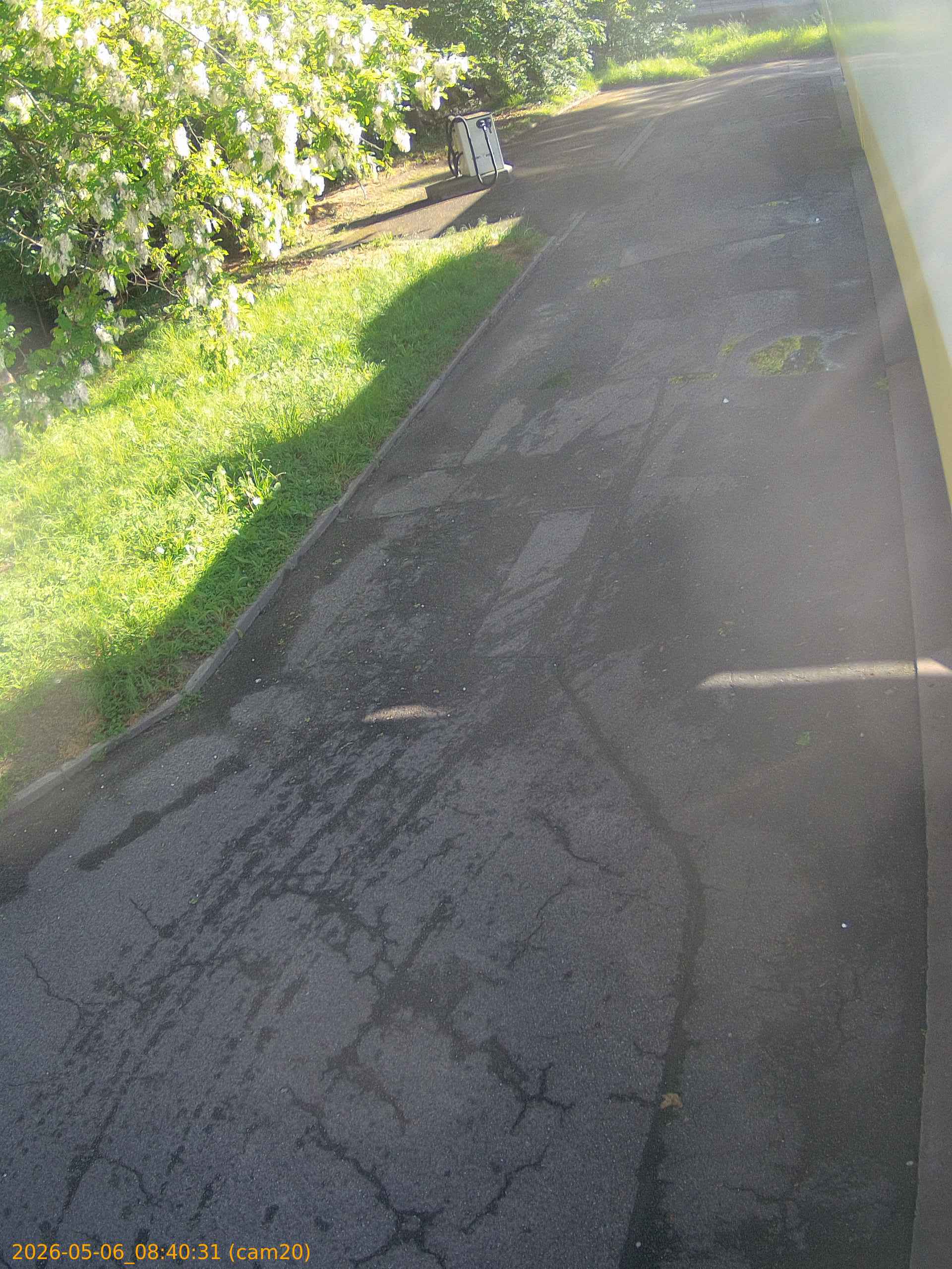 20260506084031