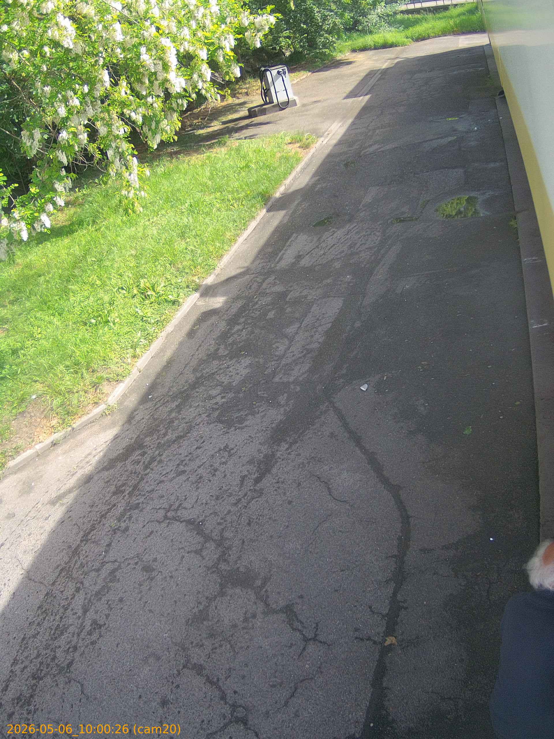 thumbnail_20260506100026