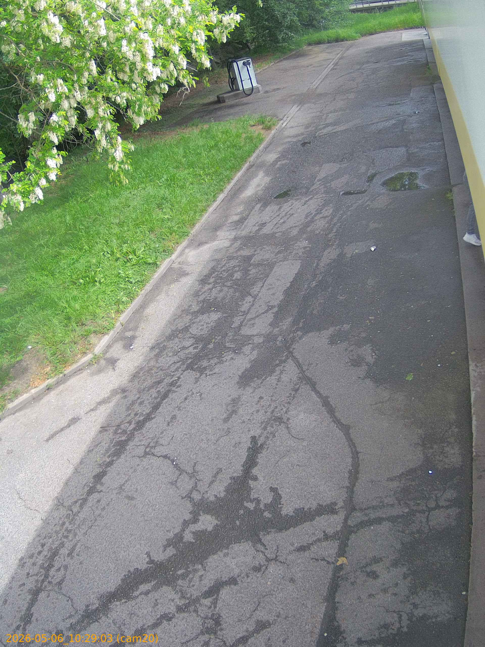 thumbnail_20260506102903