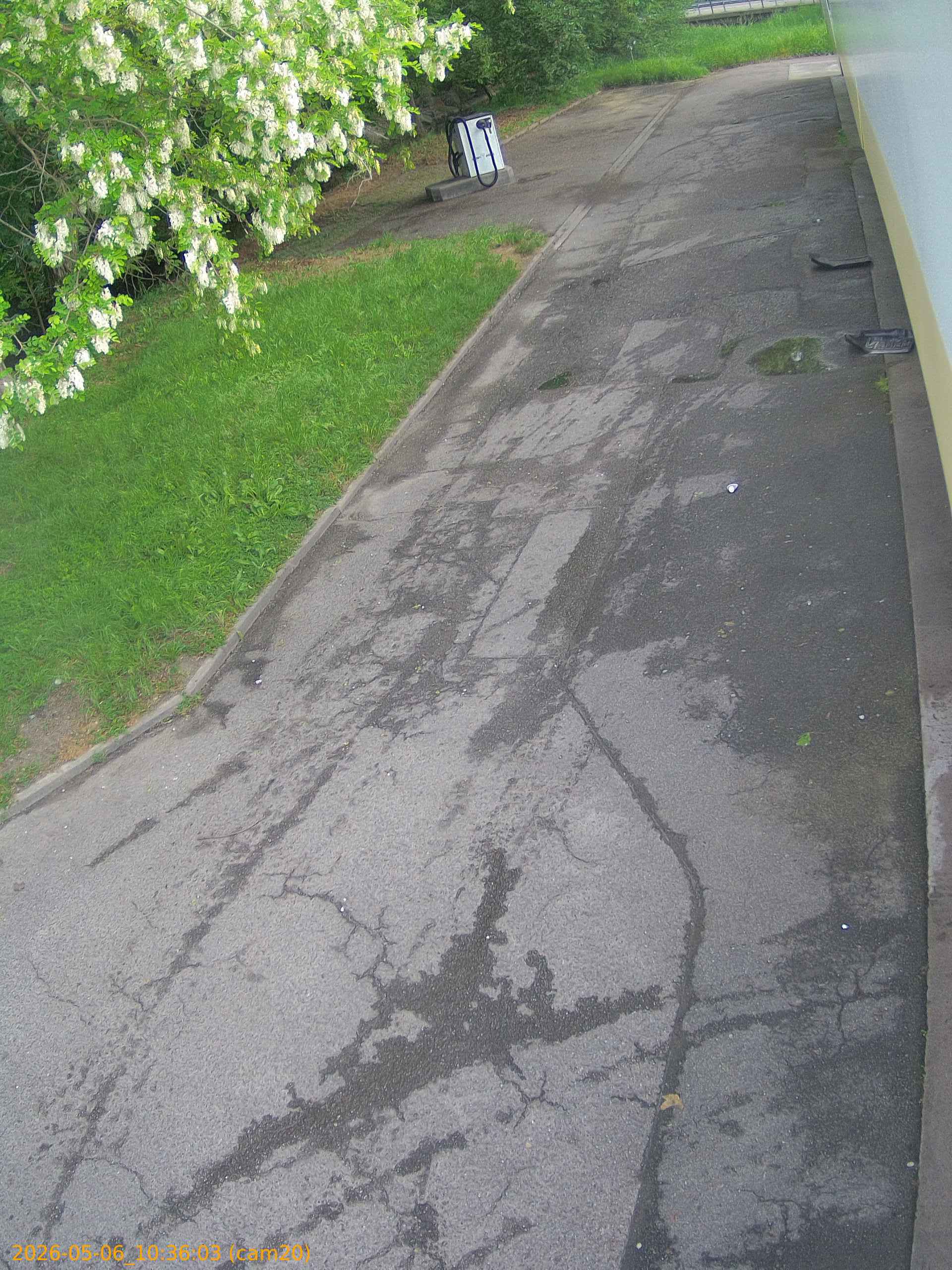 thumbnail_20260506103603