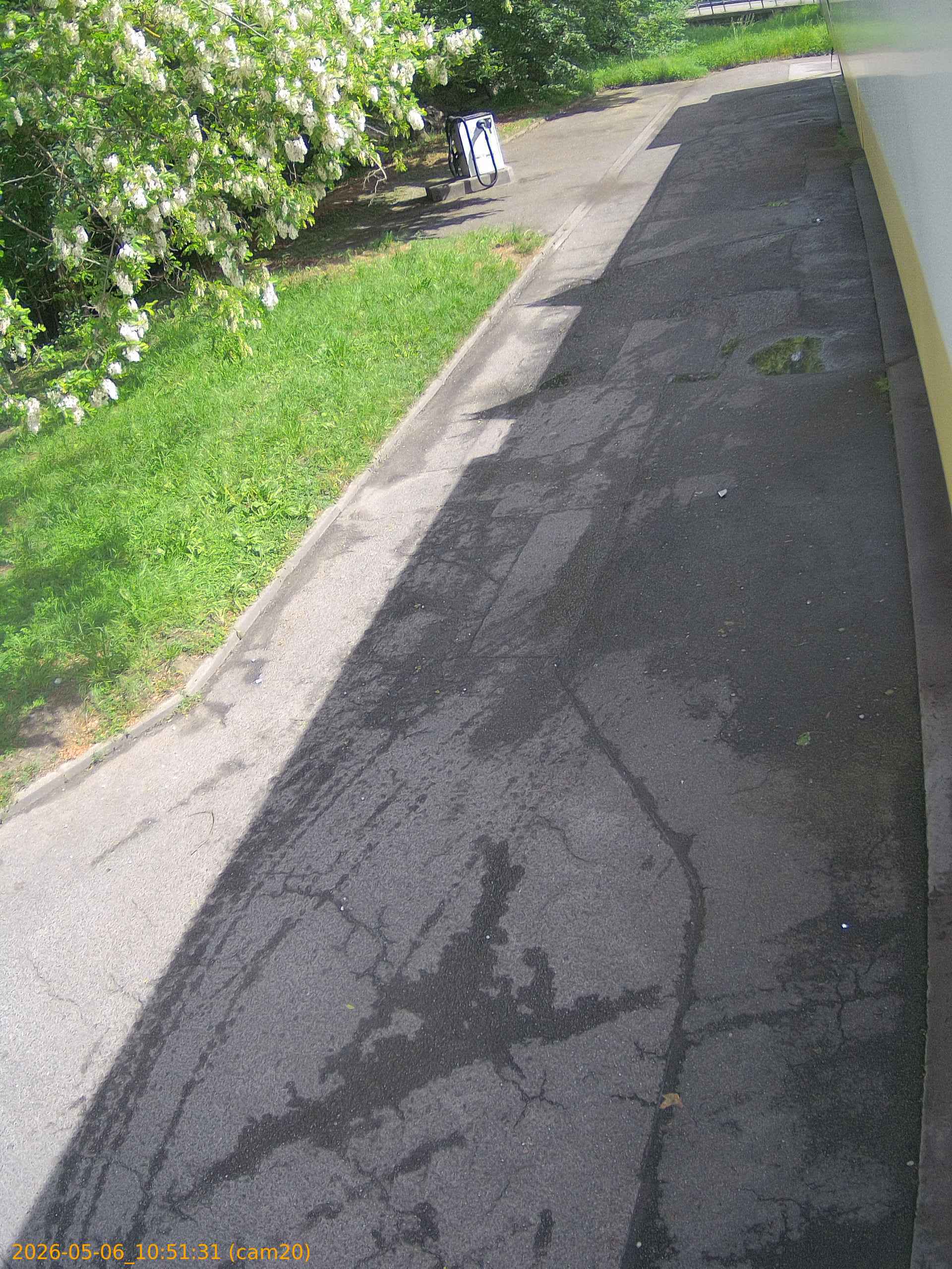 thumbnail_20260506105131