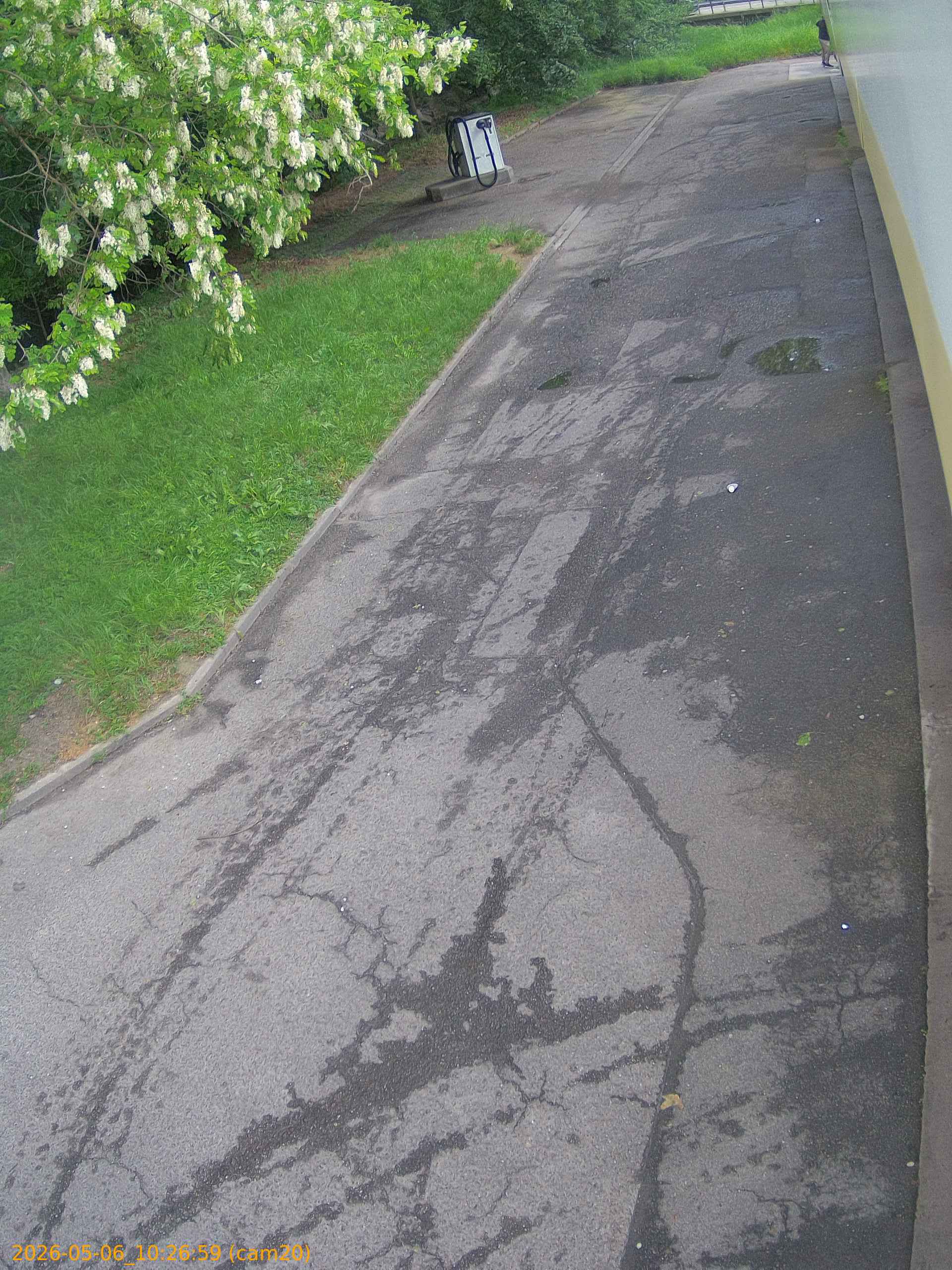 thumbnail_202605061026