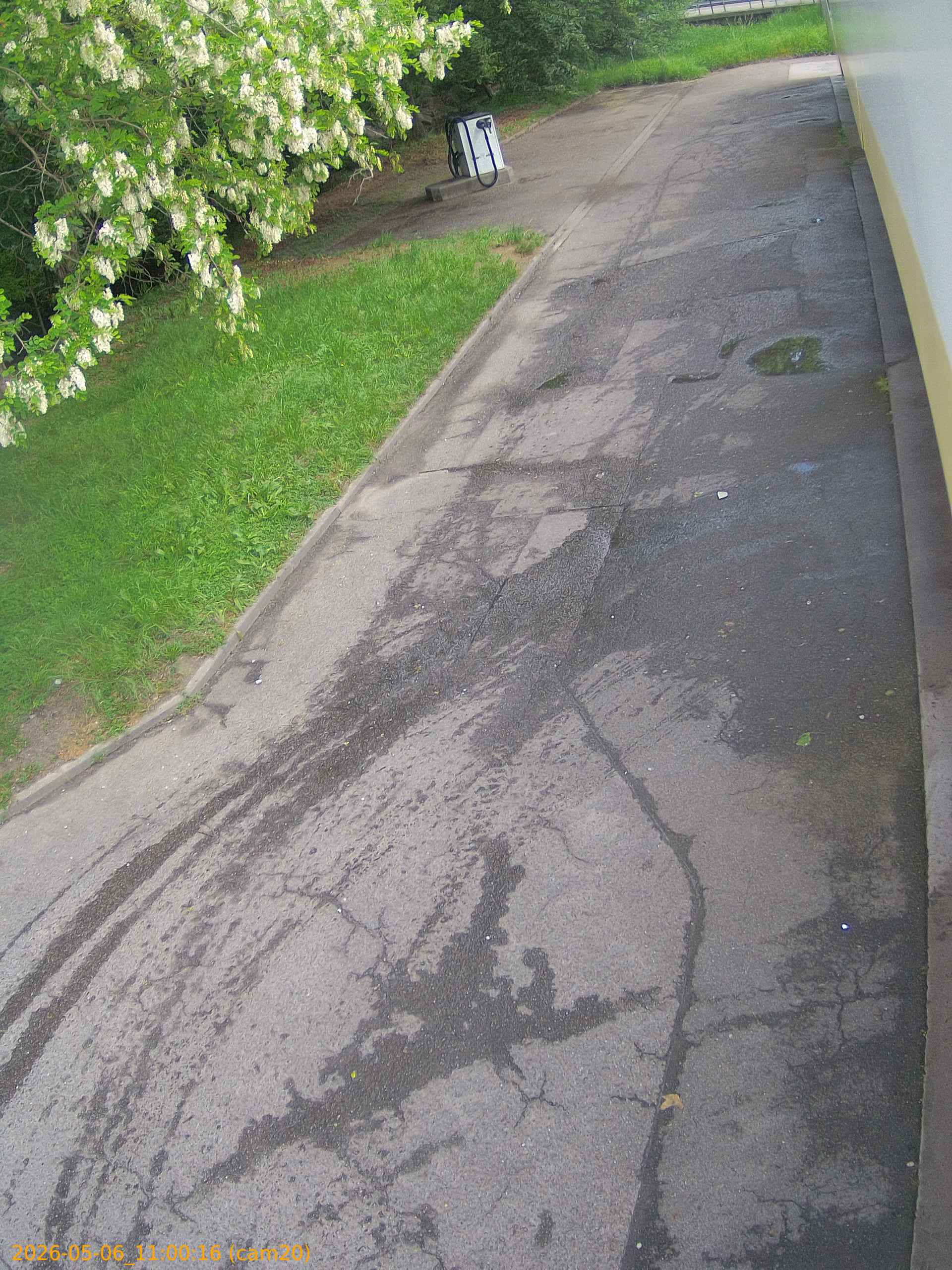 thumbnail_20260506110016