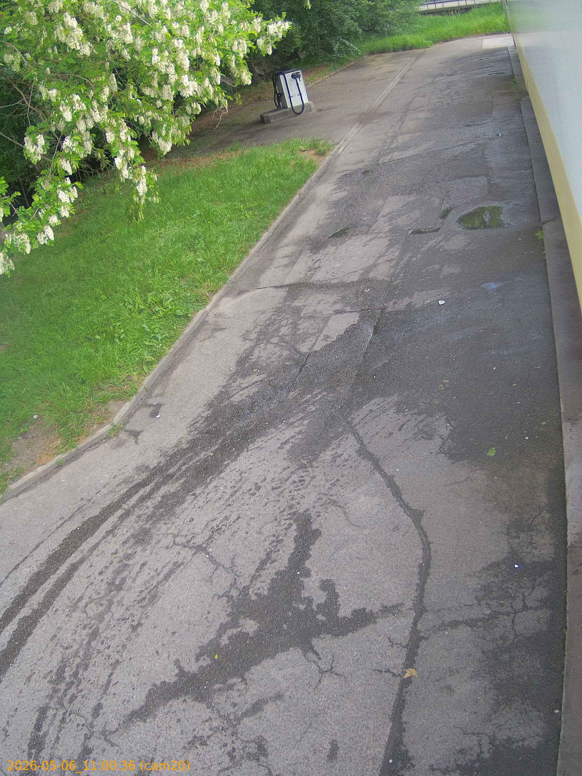 thumbnail_20260506110036