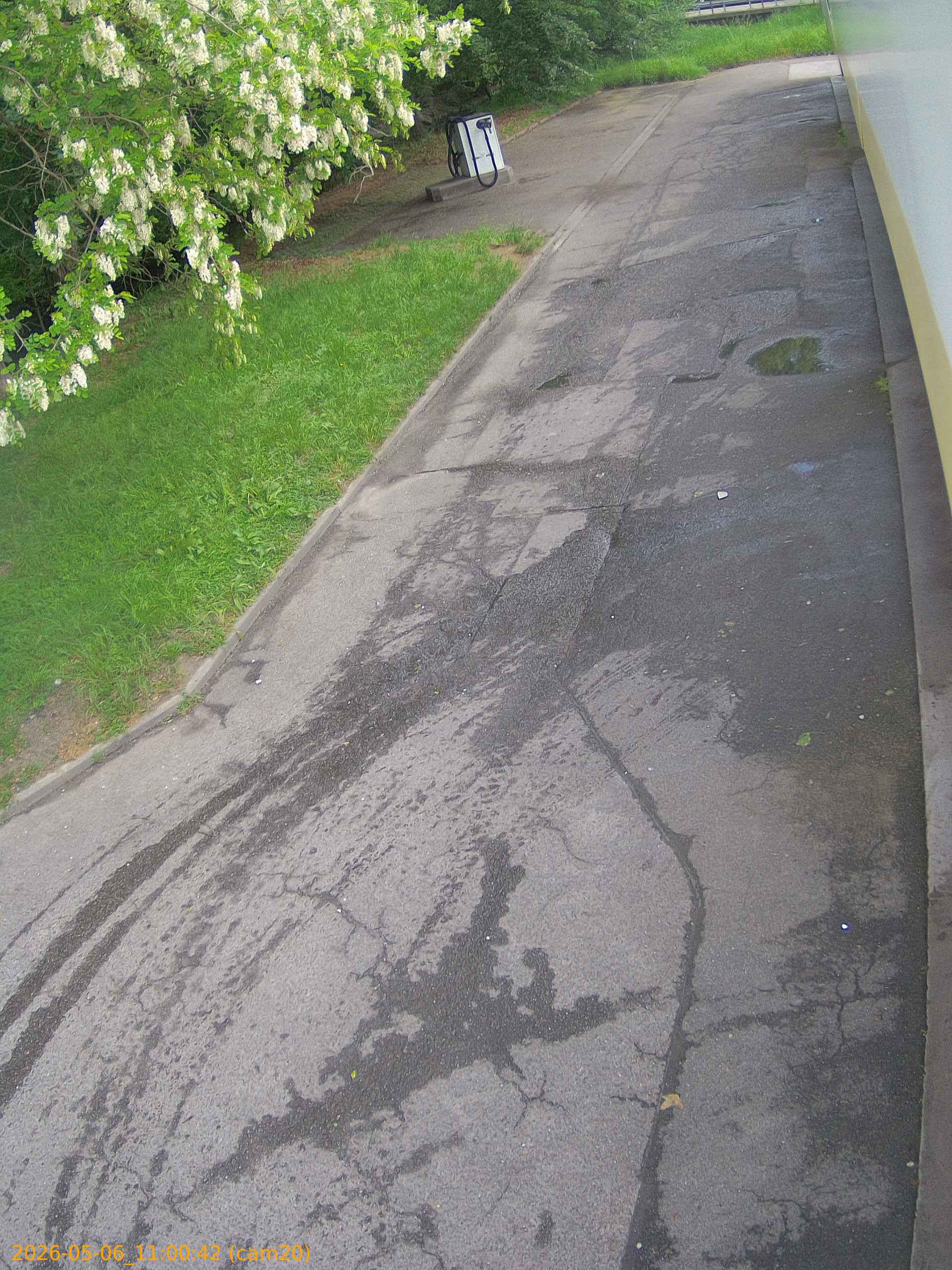 thumbnail_20260506110042