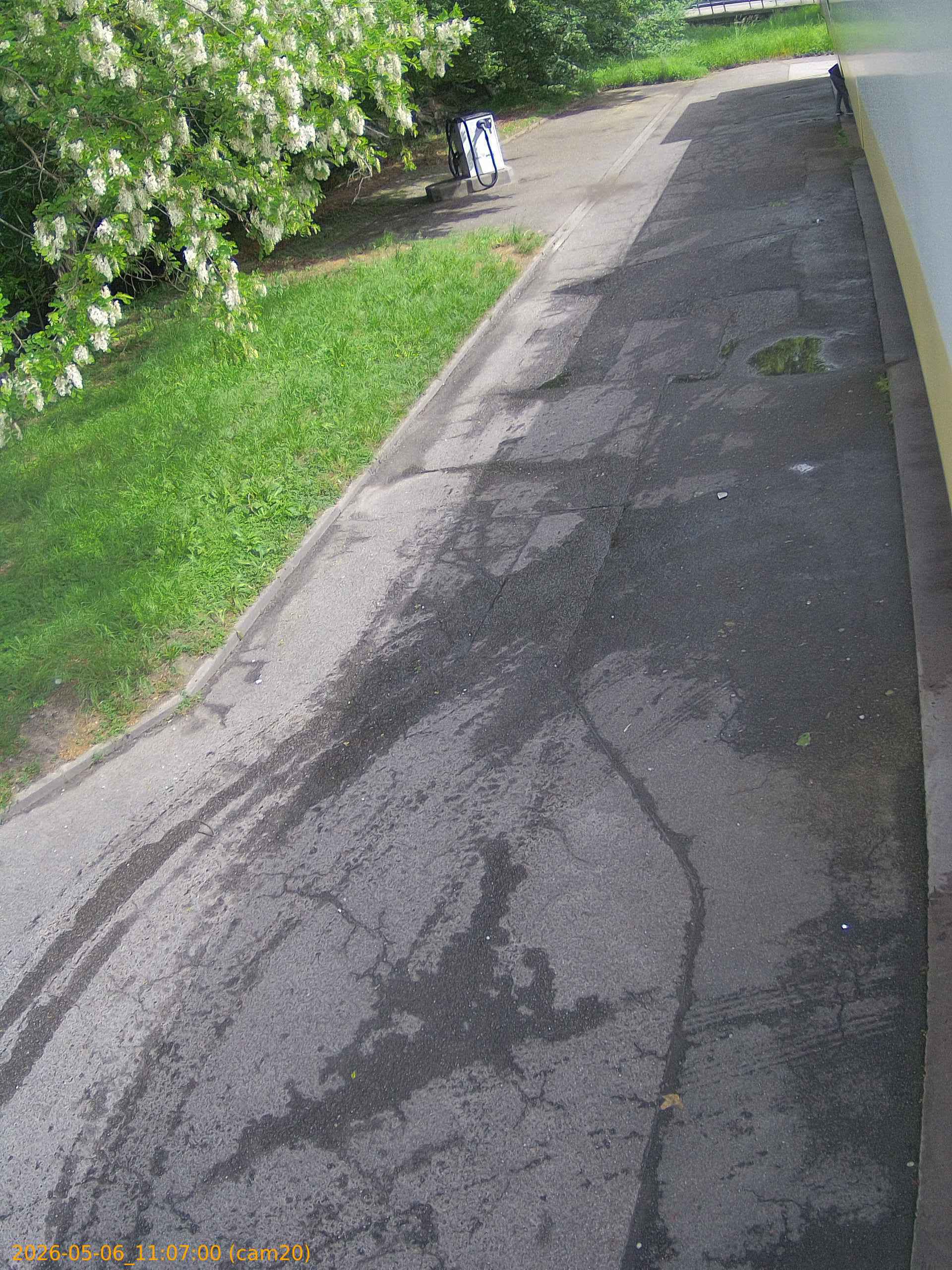 thumbnail_20260506110700