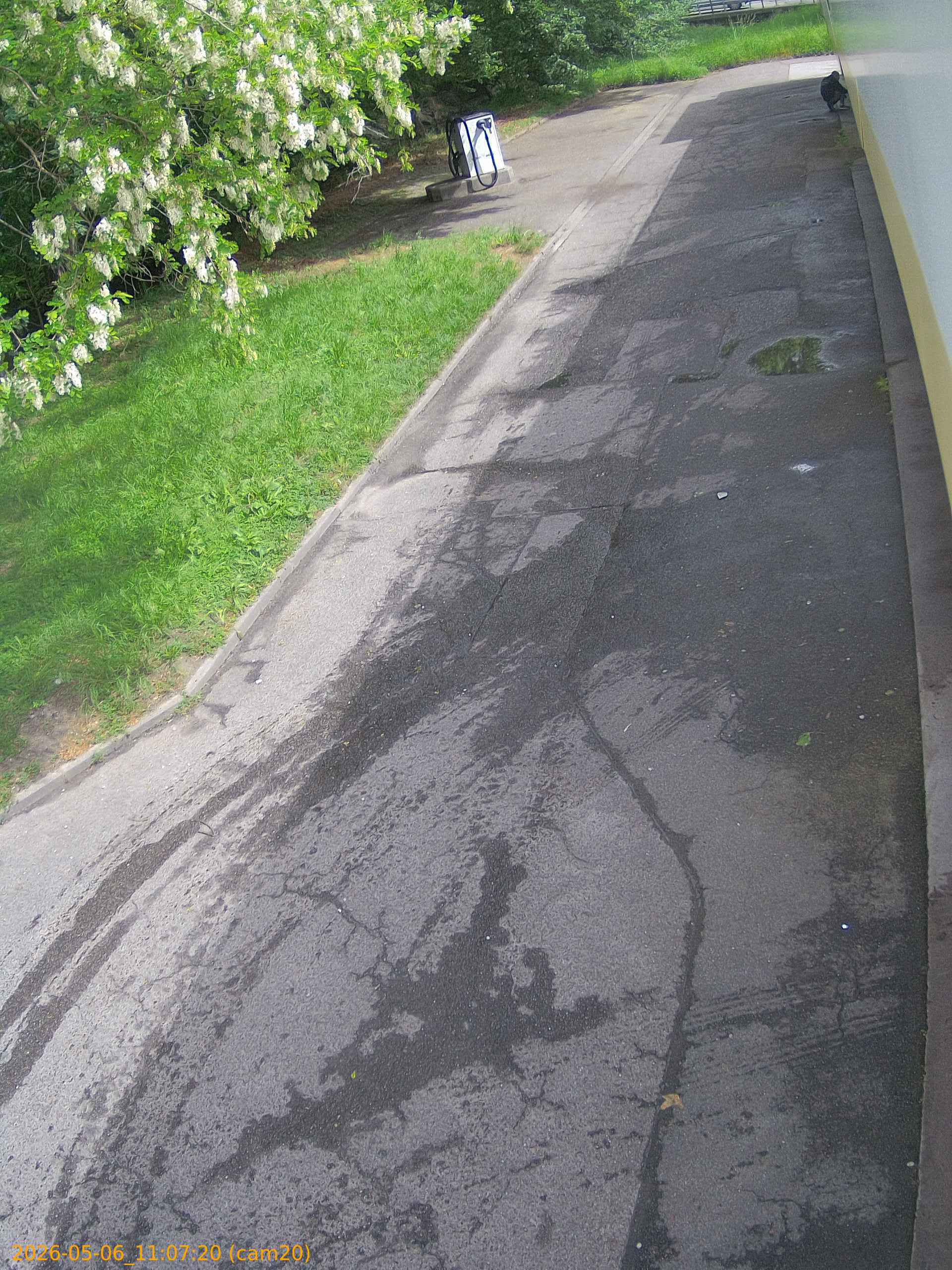 thumbnail_20260506110720