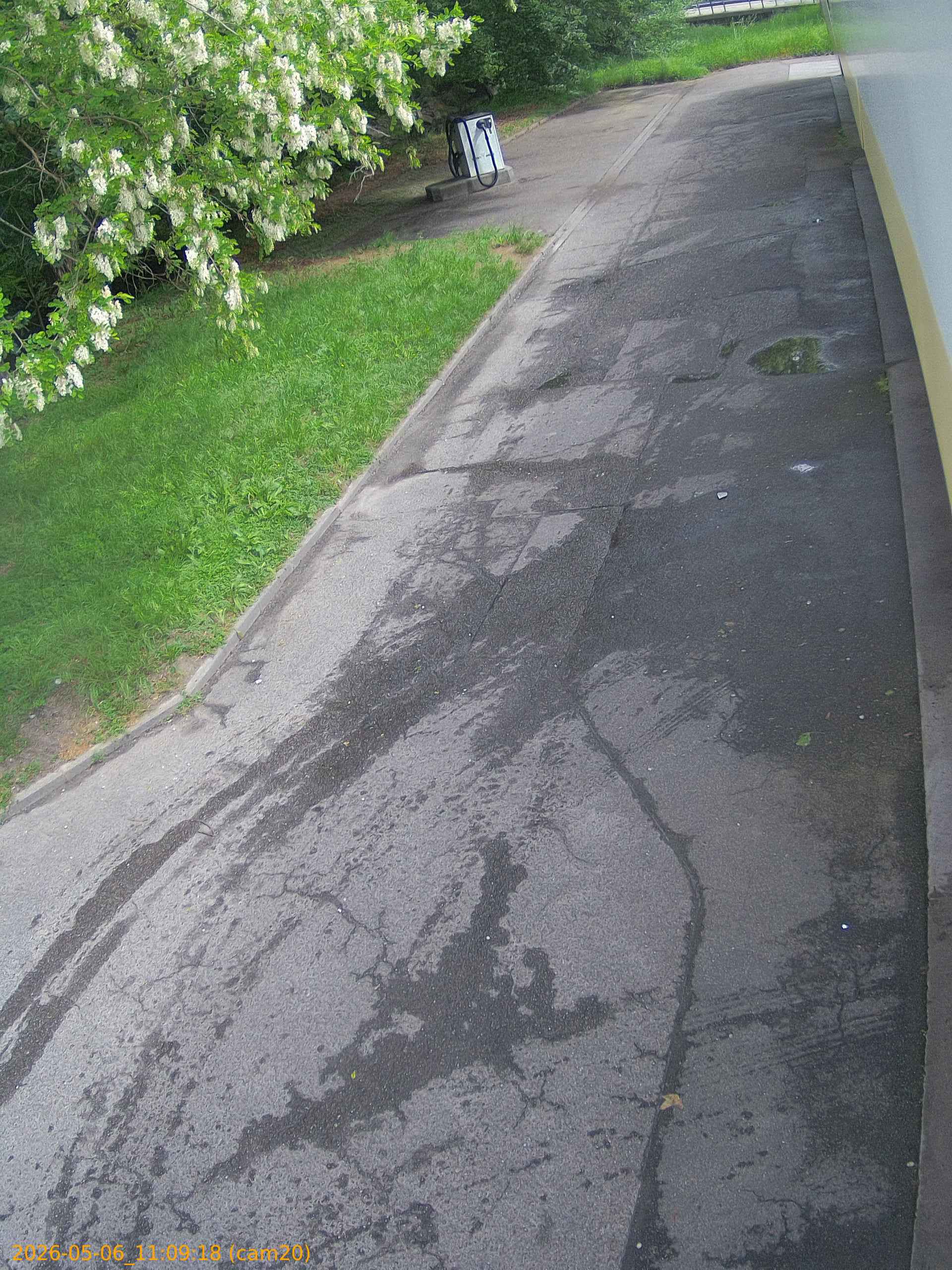 thumbnail_20260506110918