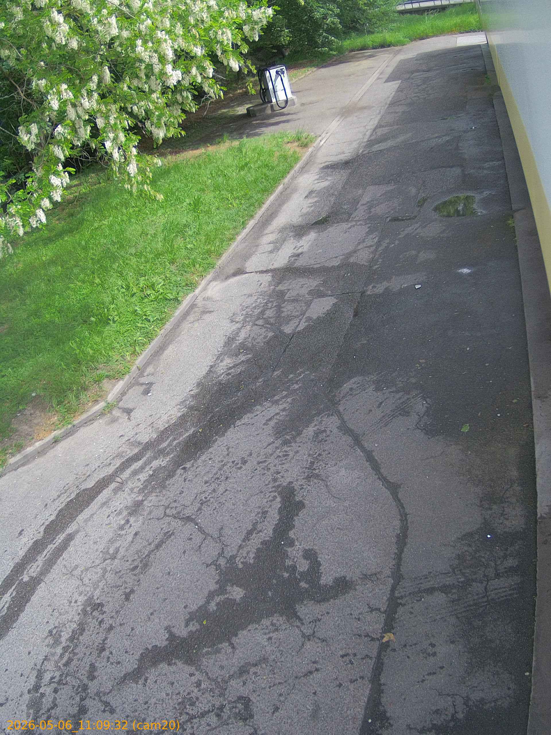 thumbnail_20260506110932