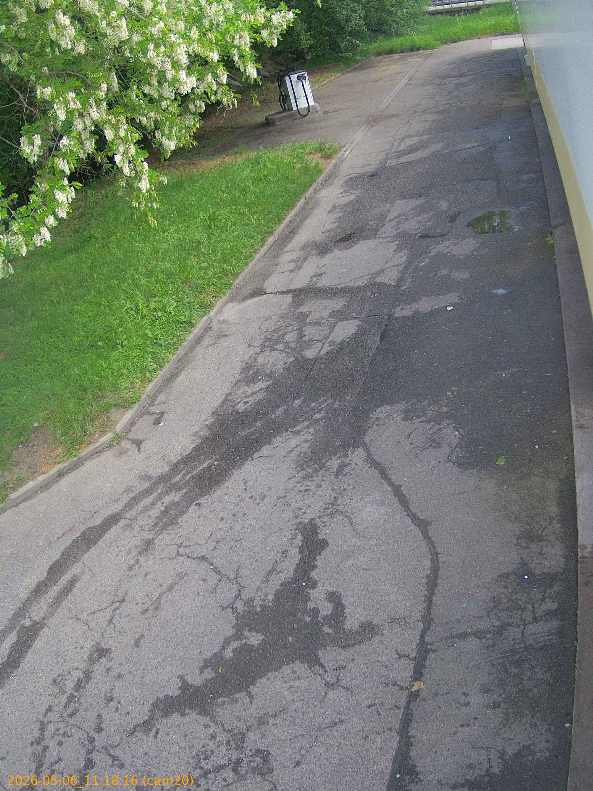 thumbnail_20260506111816
