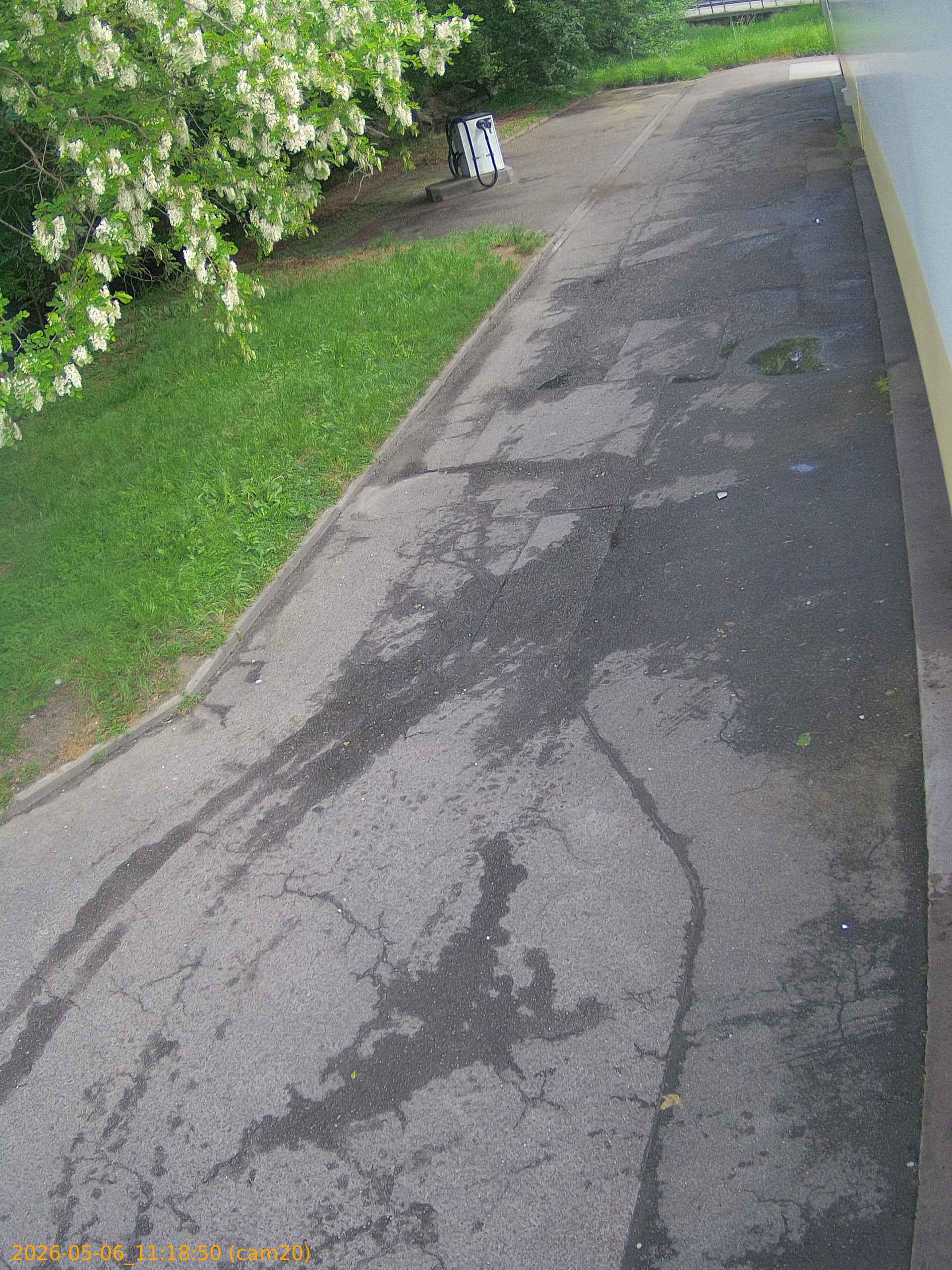 thumbnail_20260506111850
