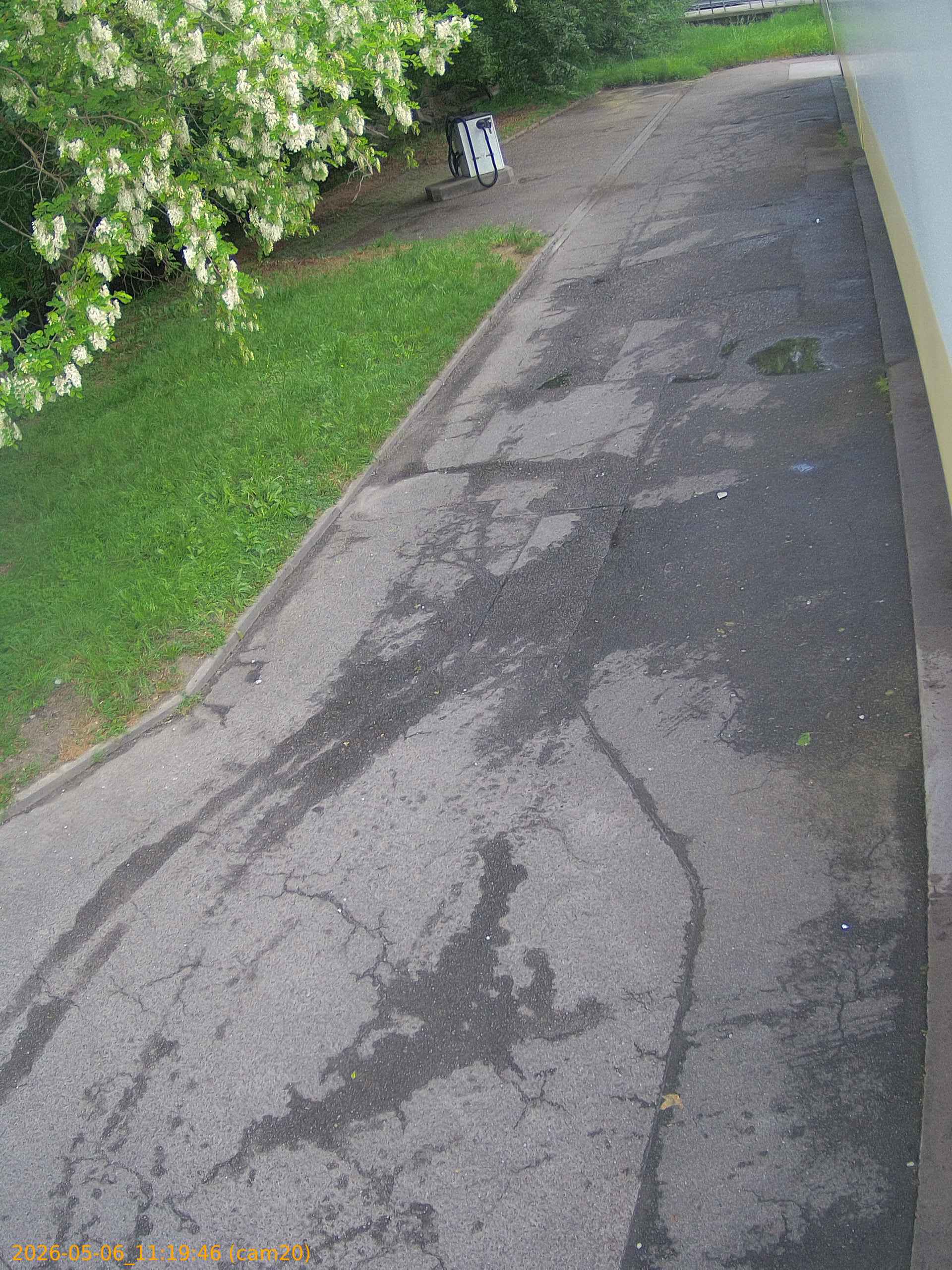 20260506111946
