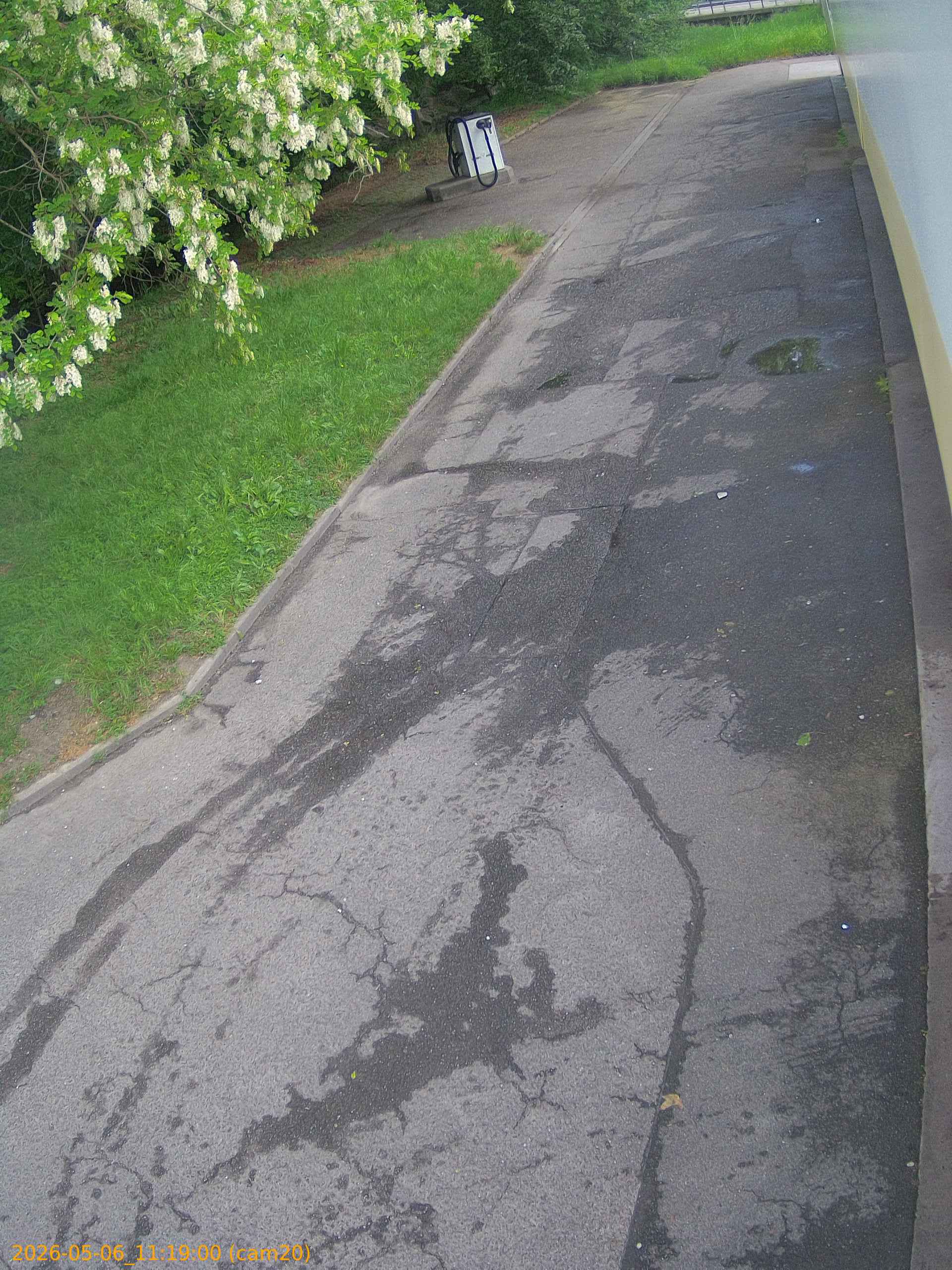thumbnail_20260506111900