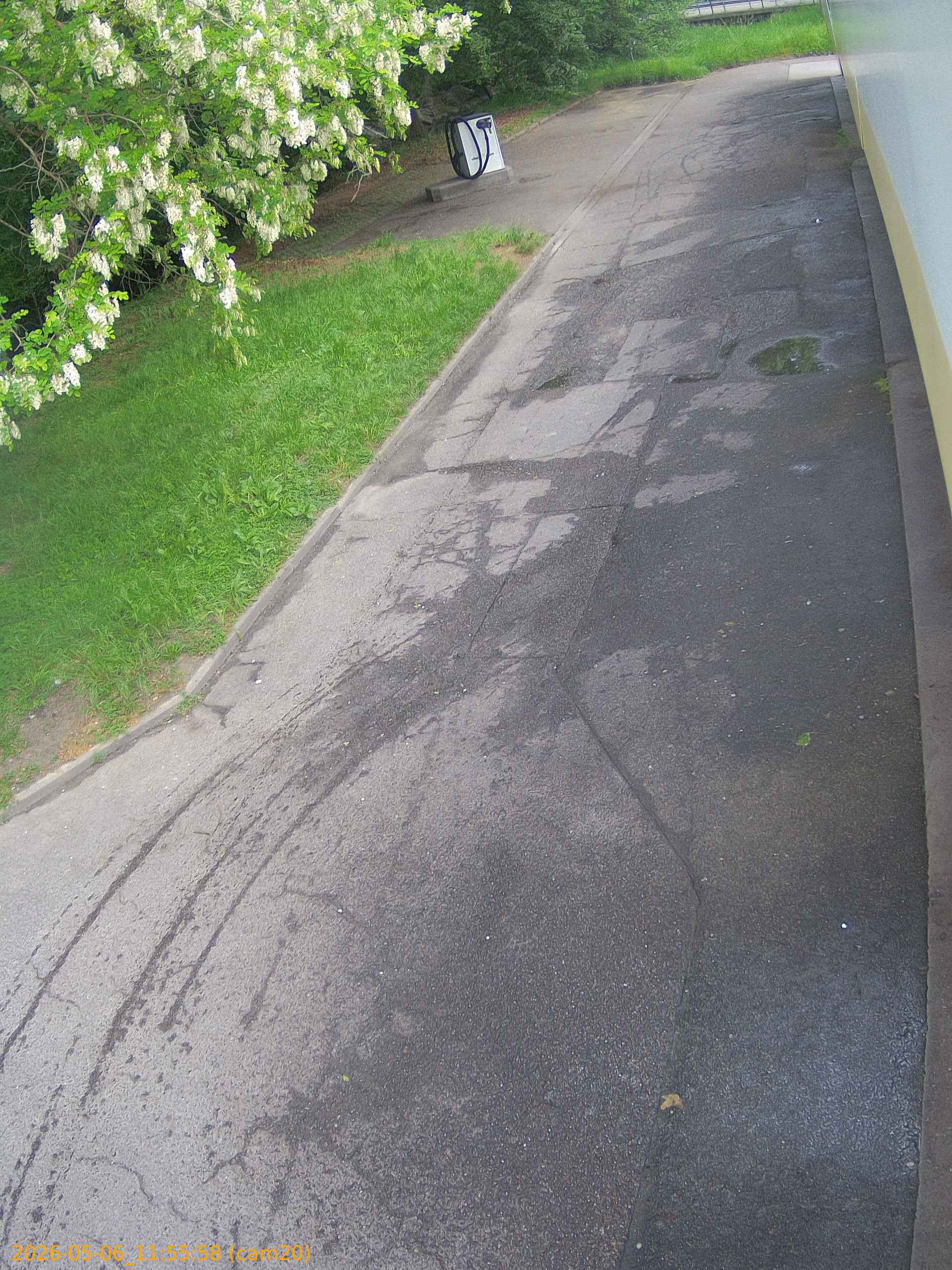 202605061155