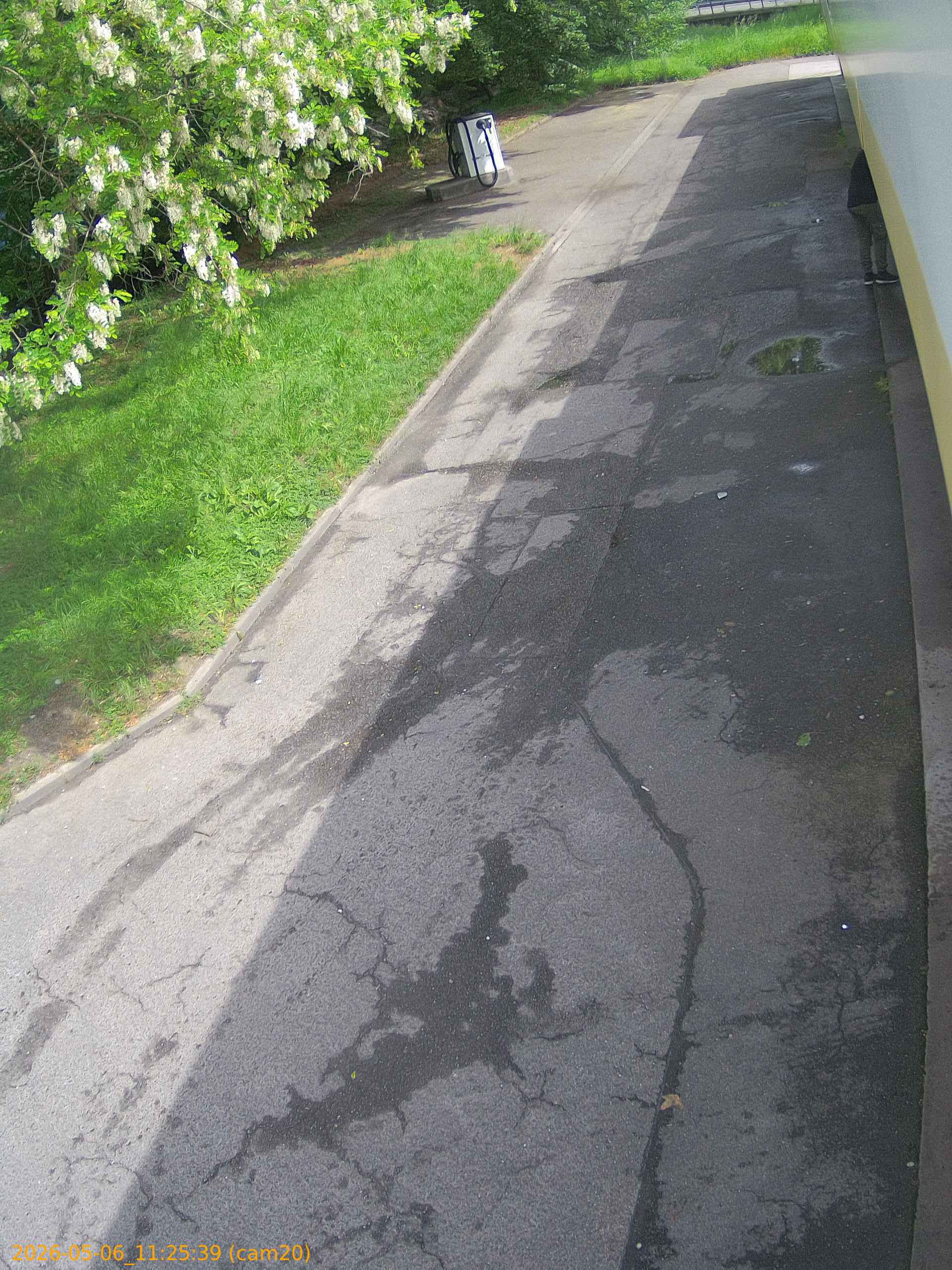 thumbnail_20260506112539