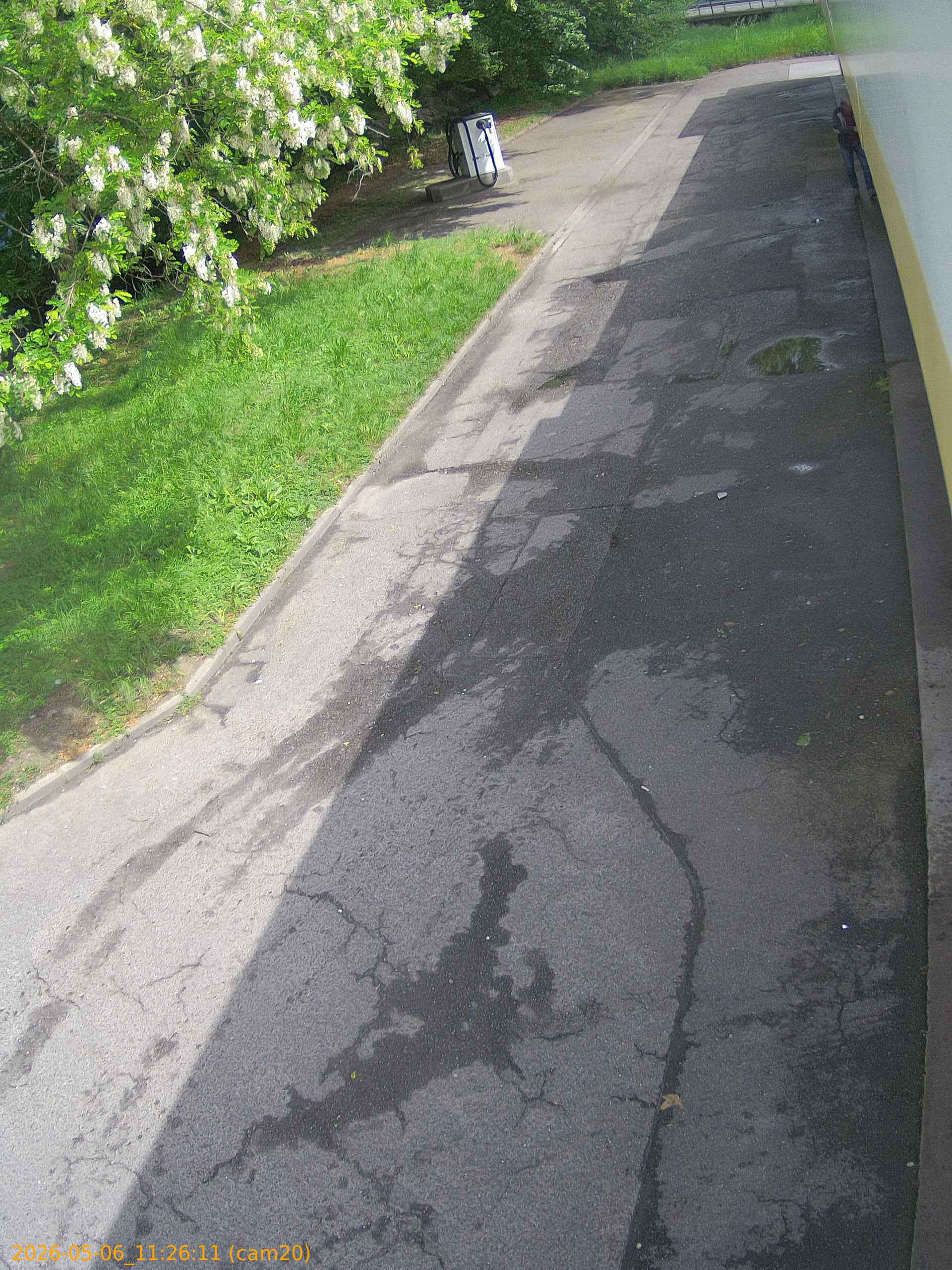 thumbnail_20260506112611