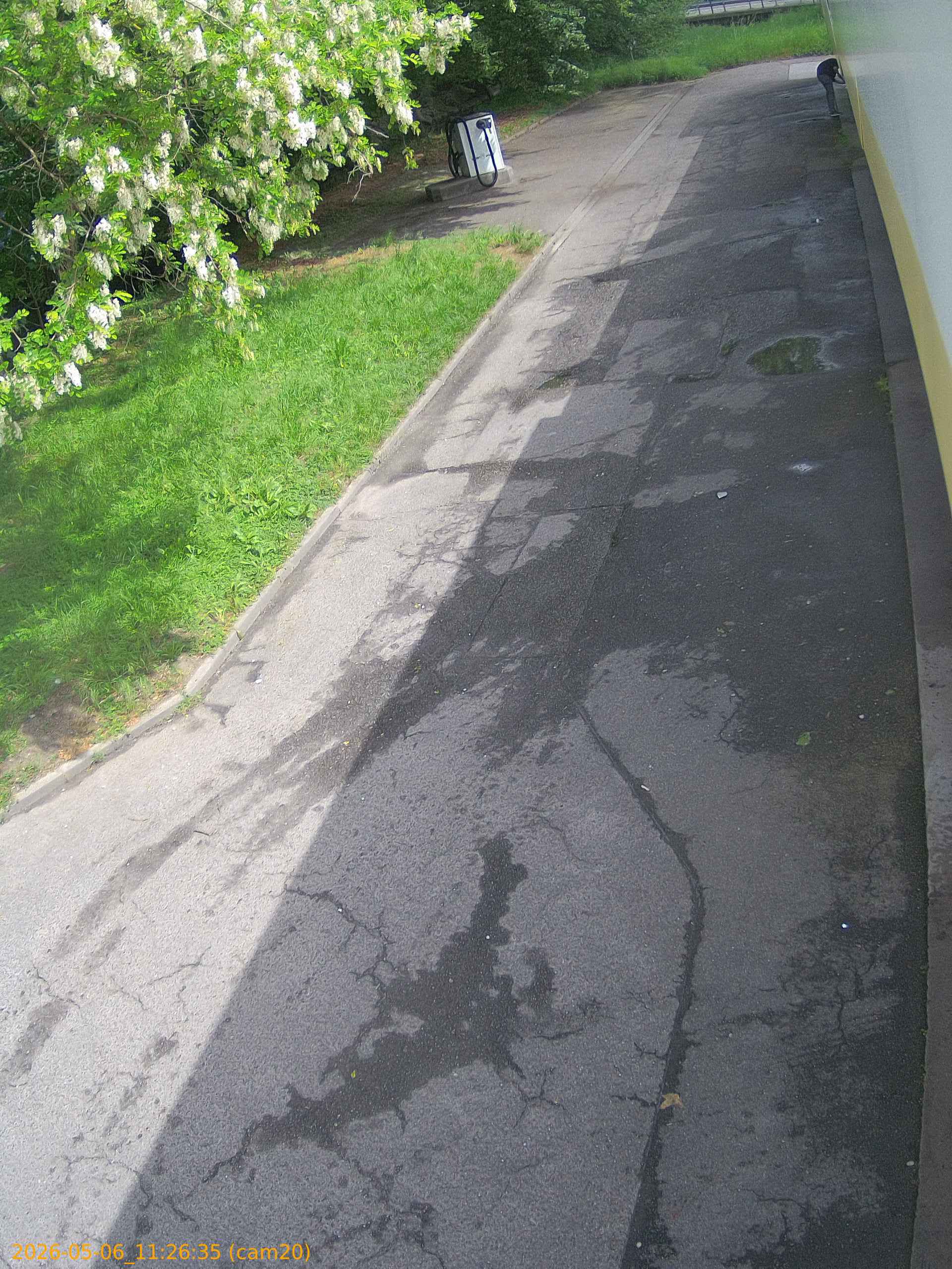 thumbnail_20260506112635