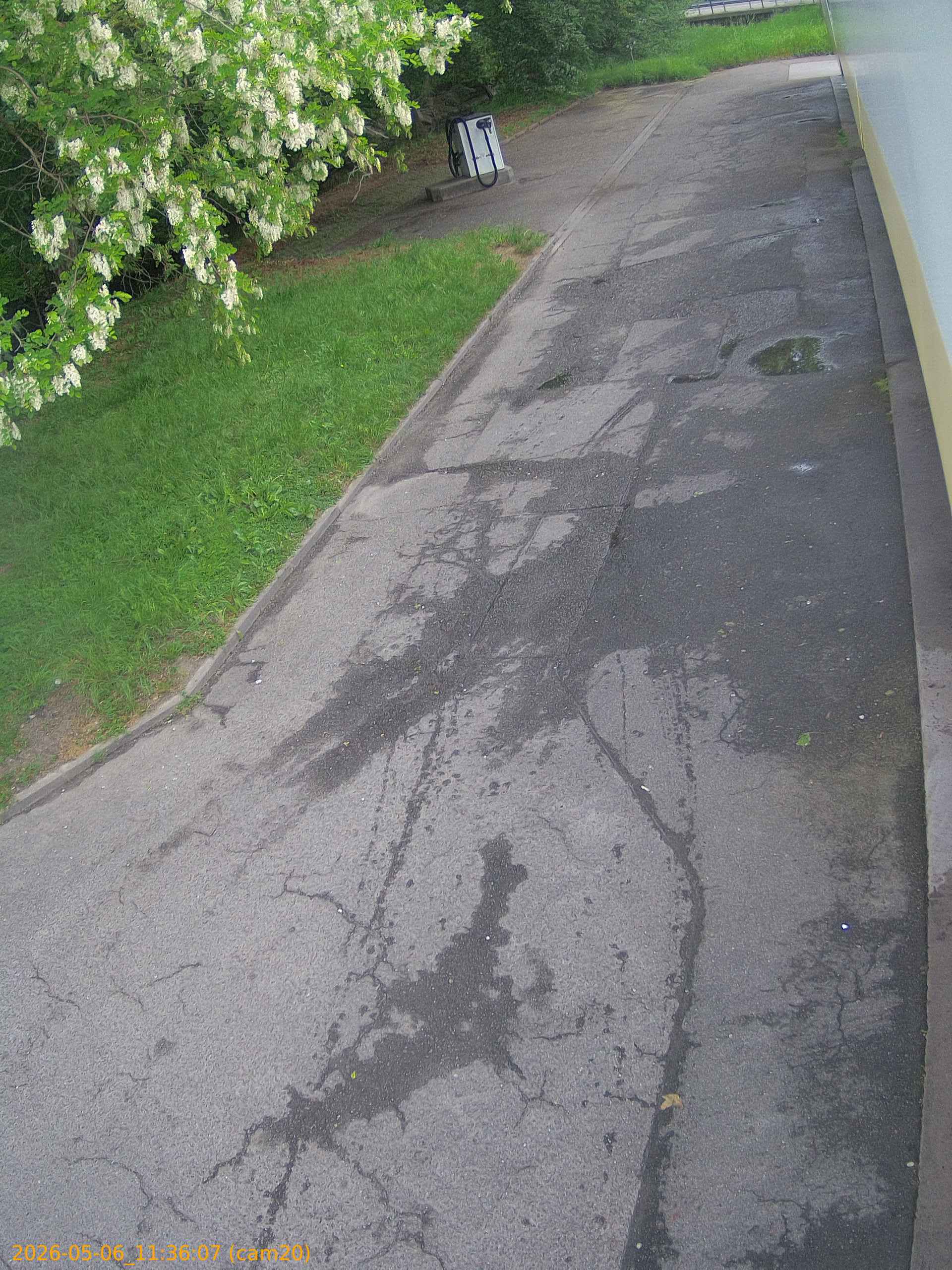 thumbnail_20260506113607