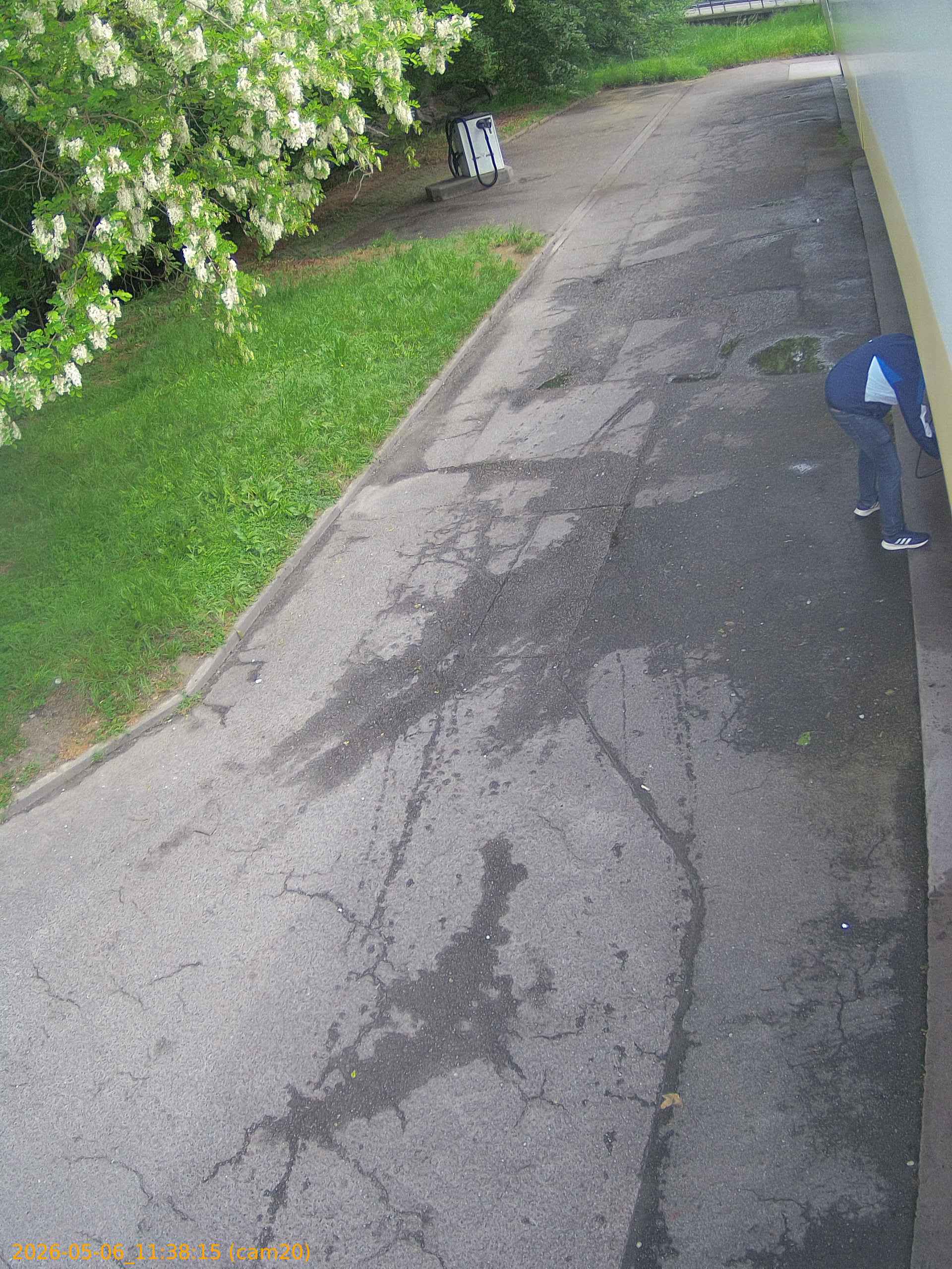 thumbnail_20260506113815