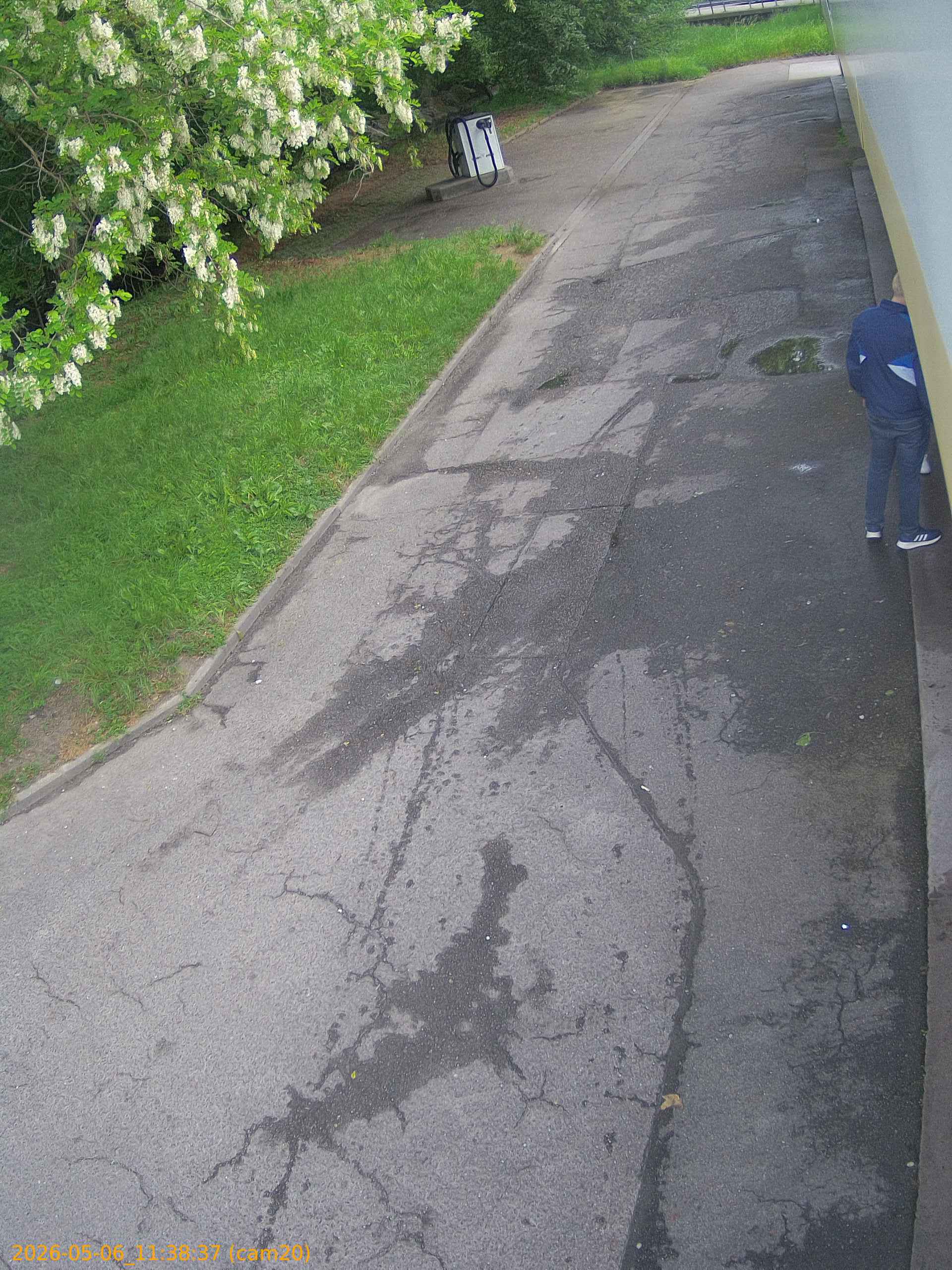 thumbnail_20260506113837