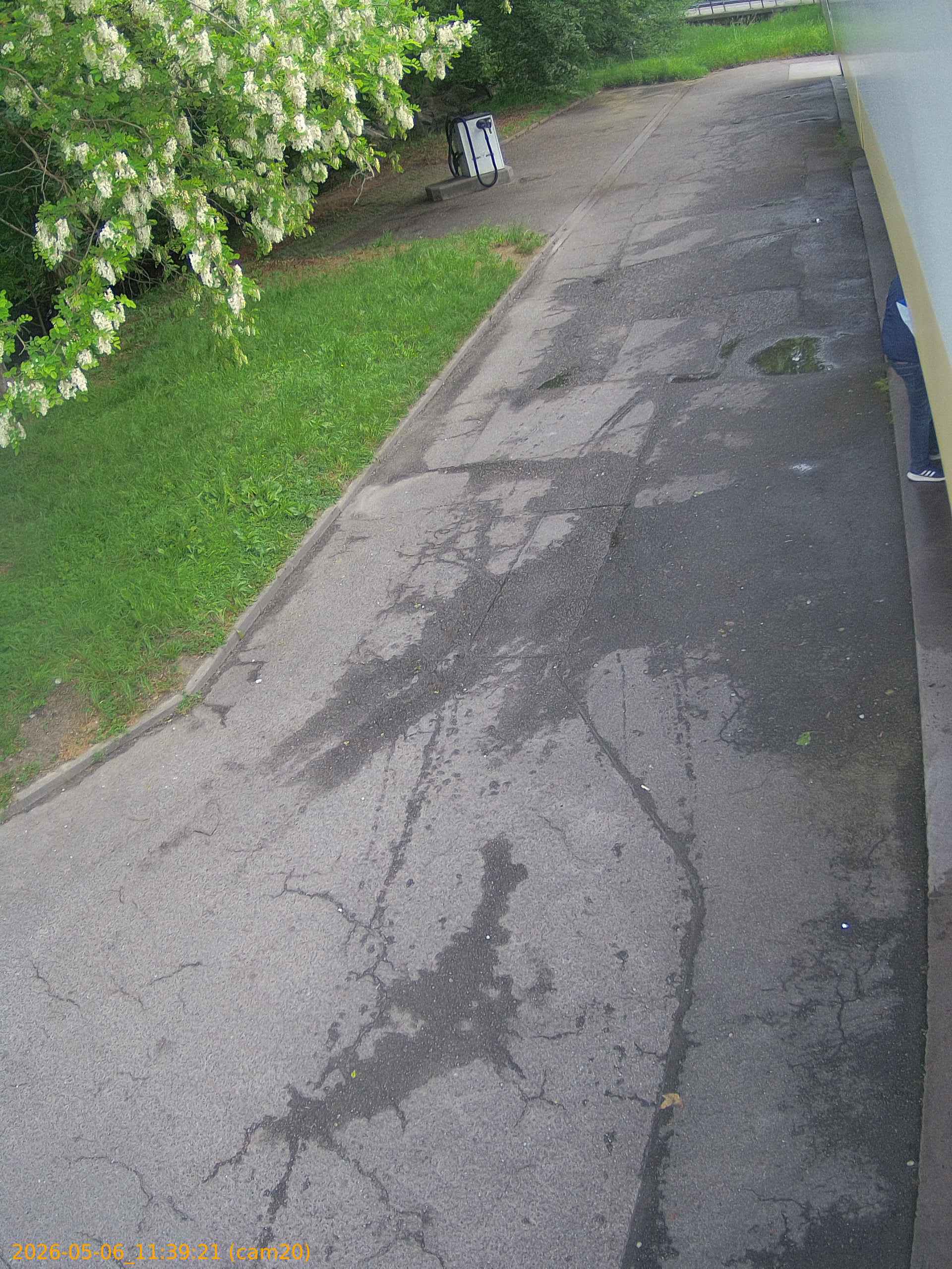 thumbnail_20260506113921
