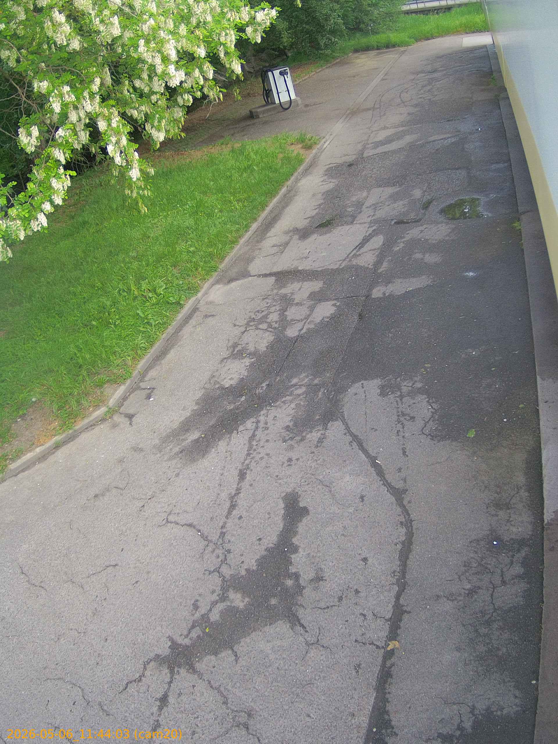 thumbnail_20260506114403