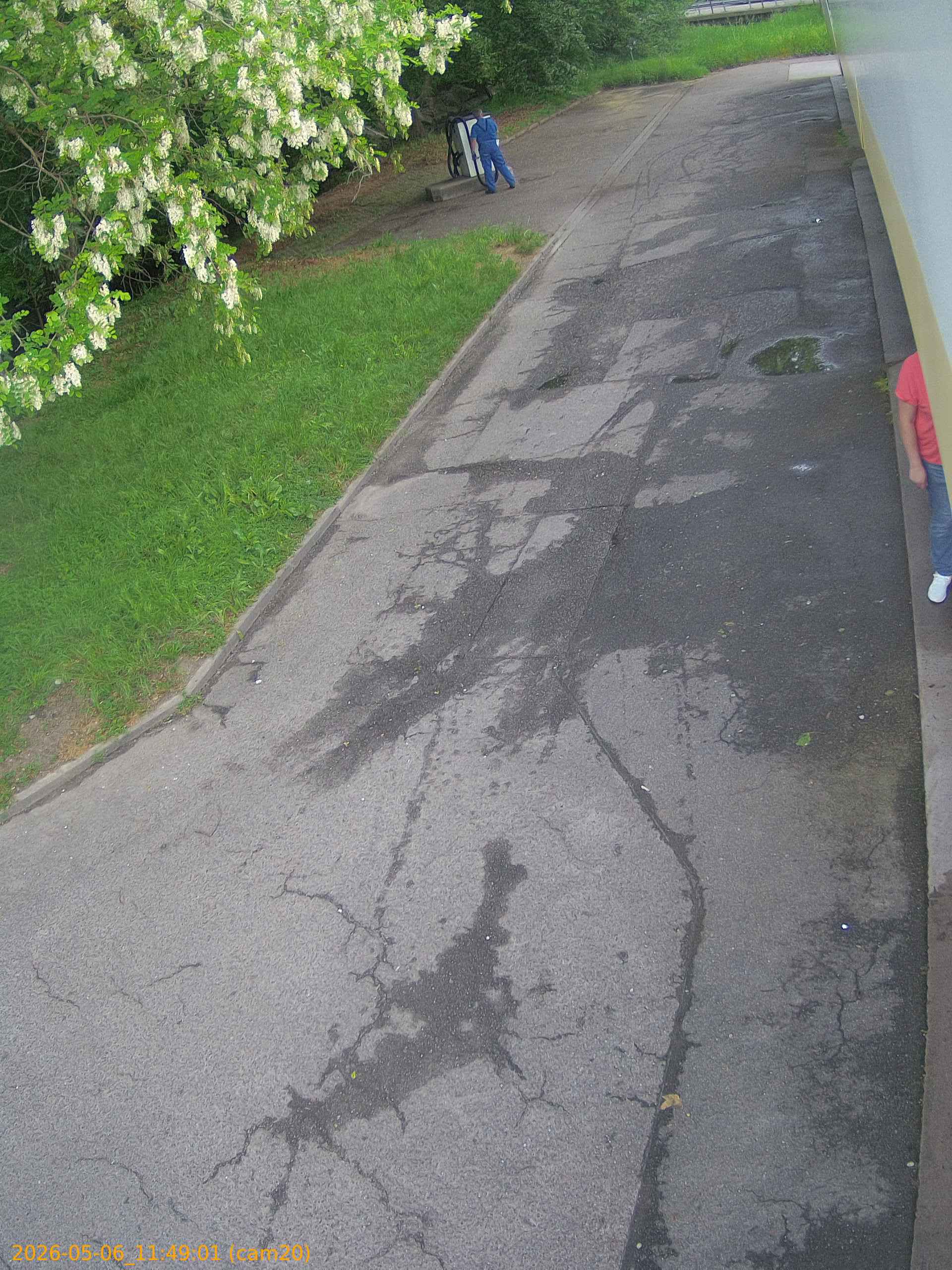 20260506114901