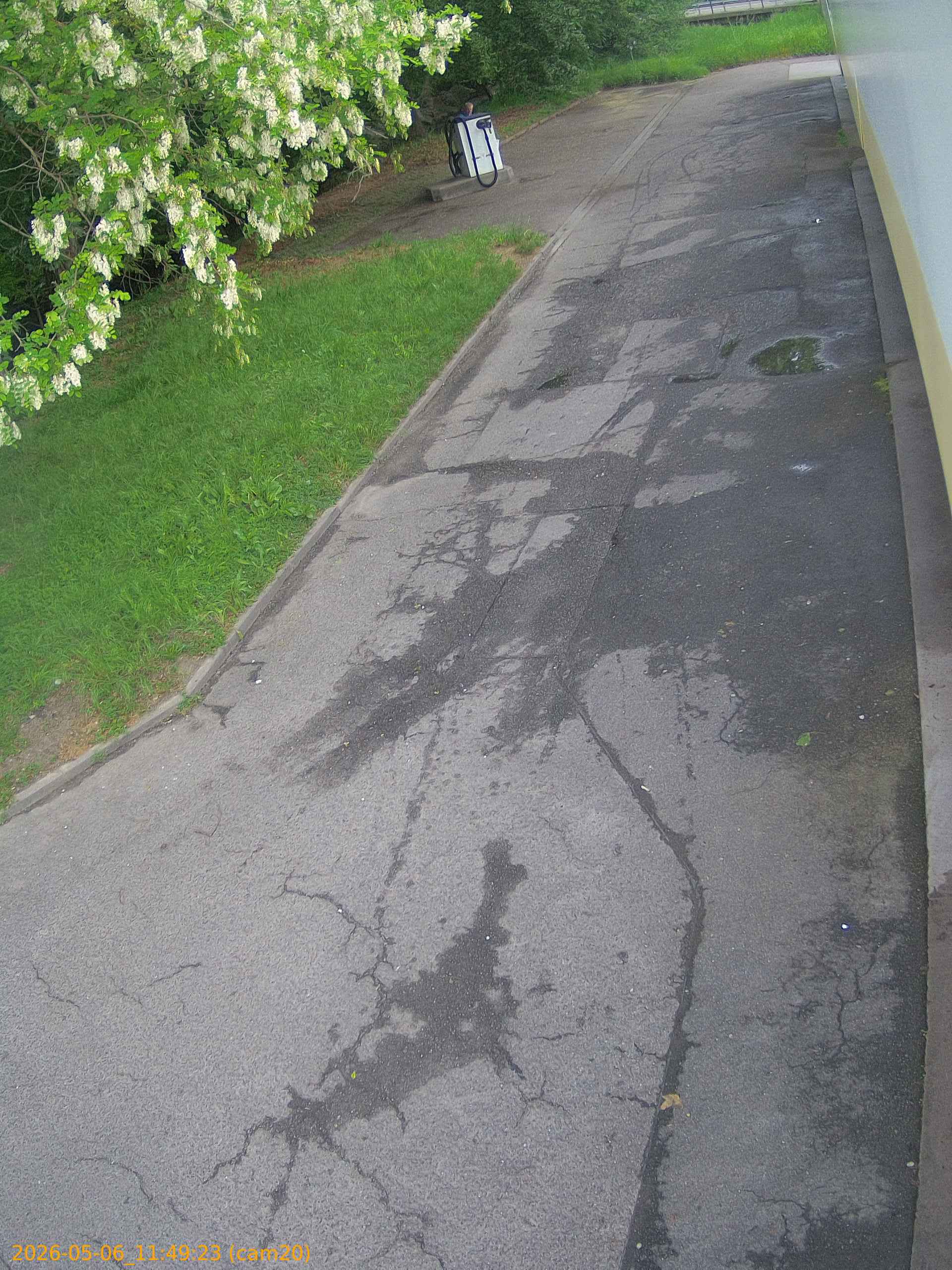 20260506114923