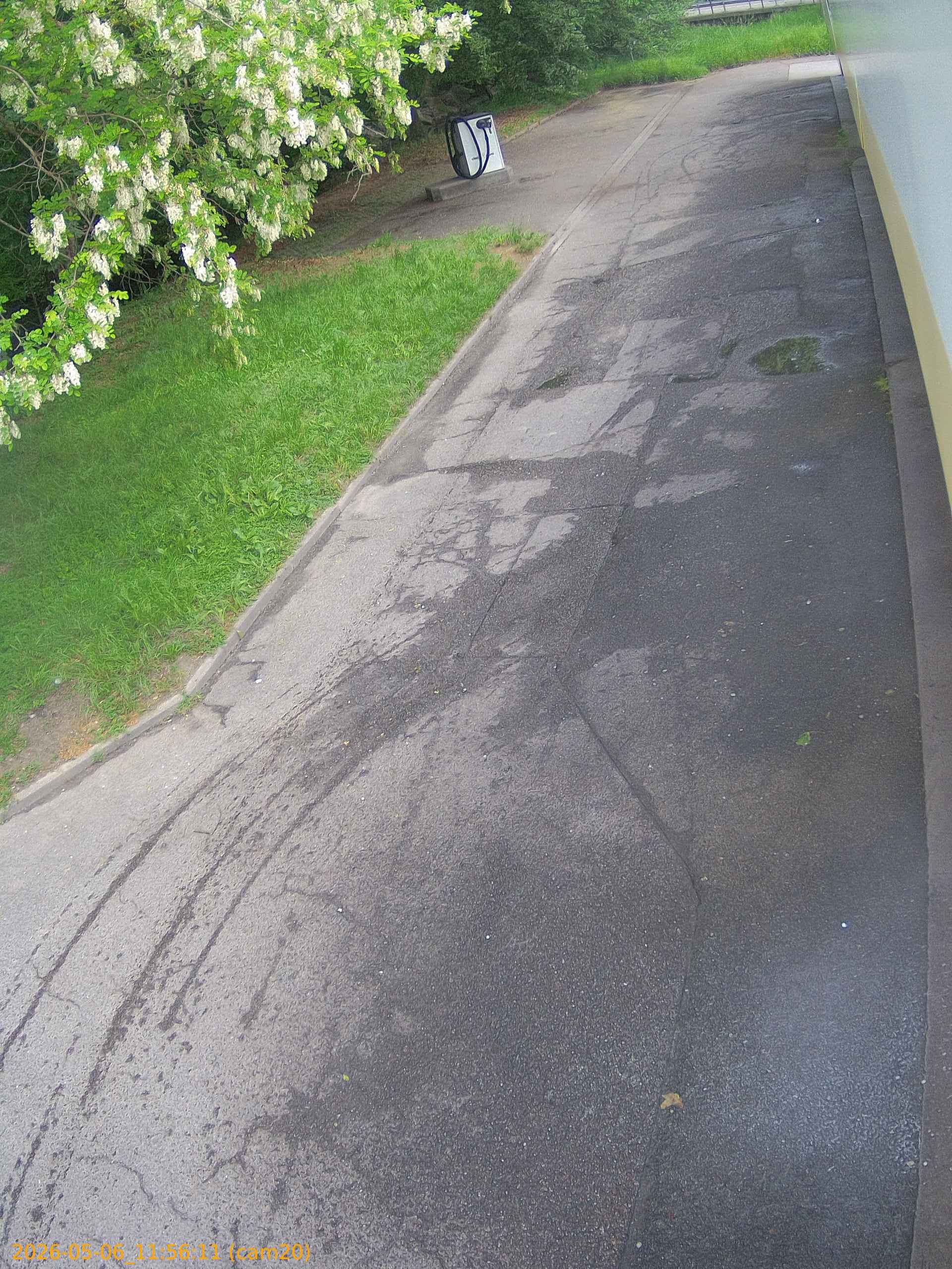 thumbnail_20260506115611