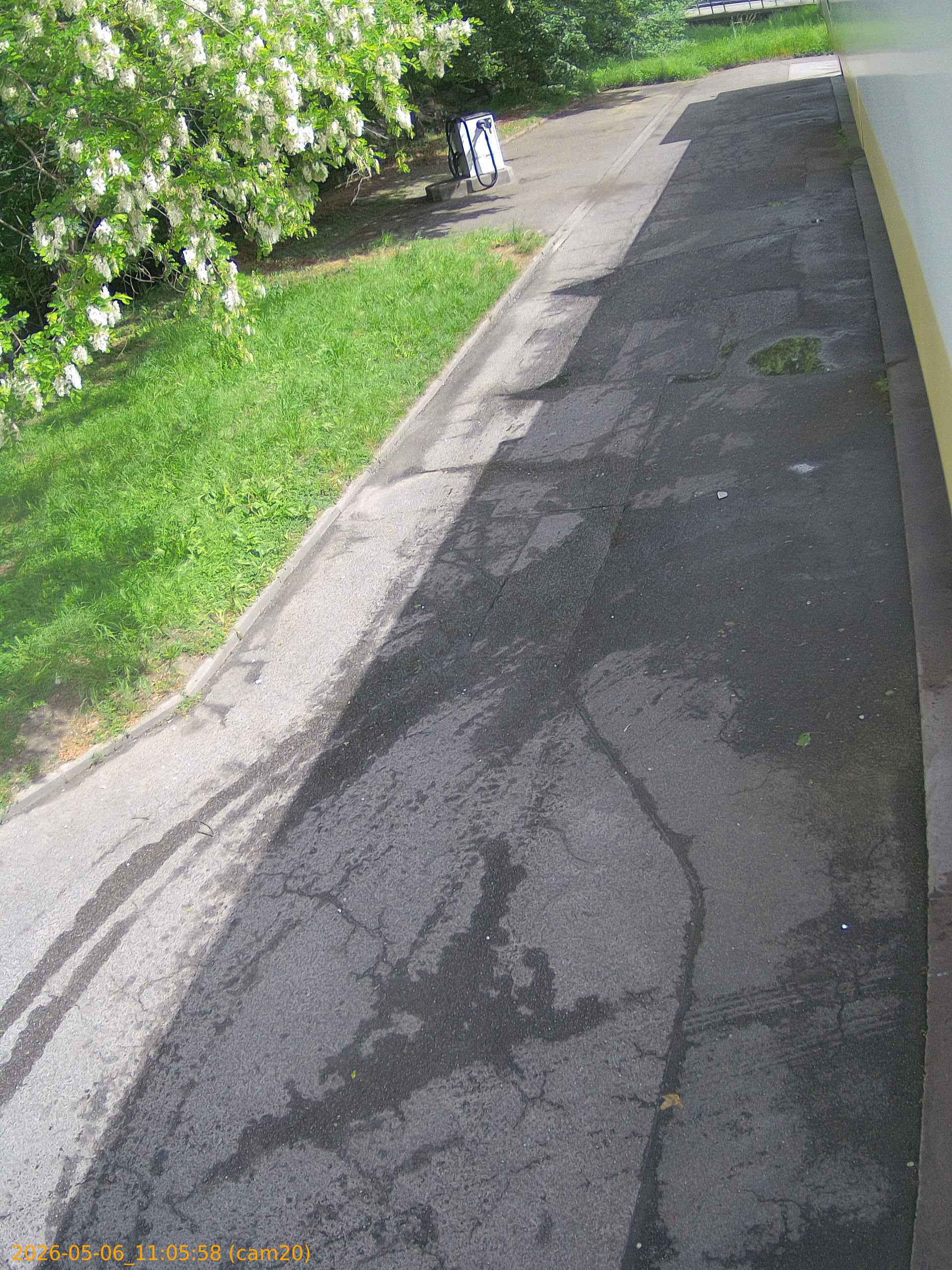 thumbnail_202605061105