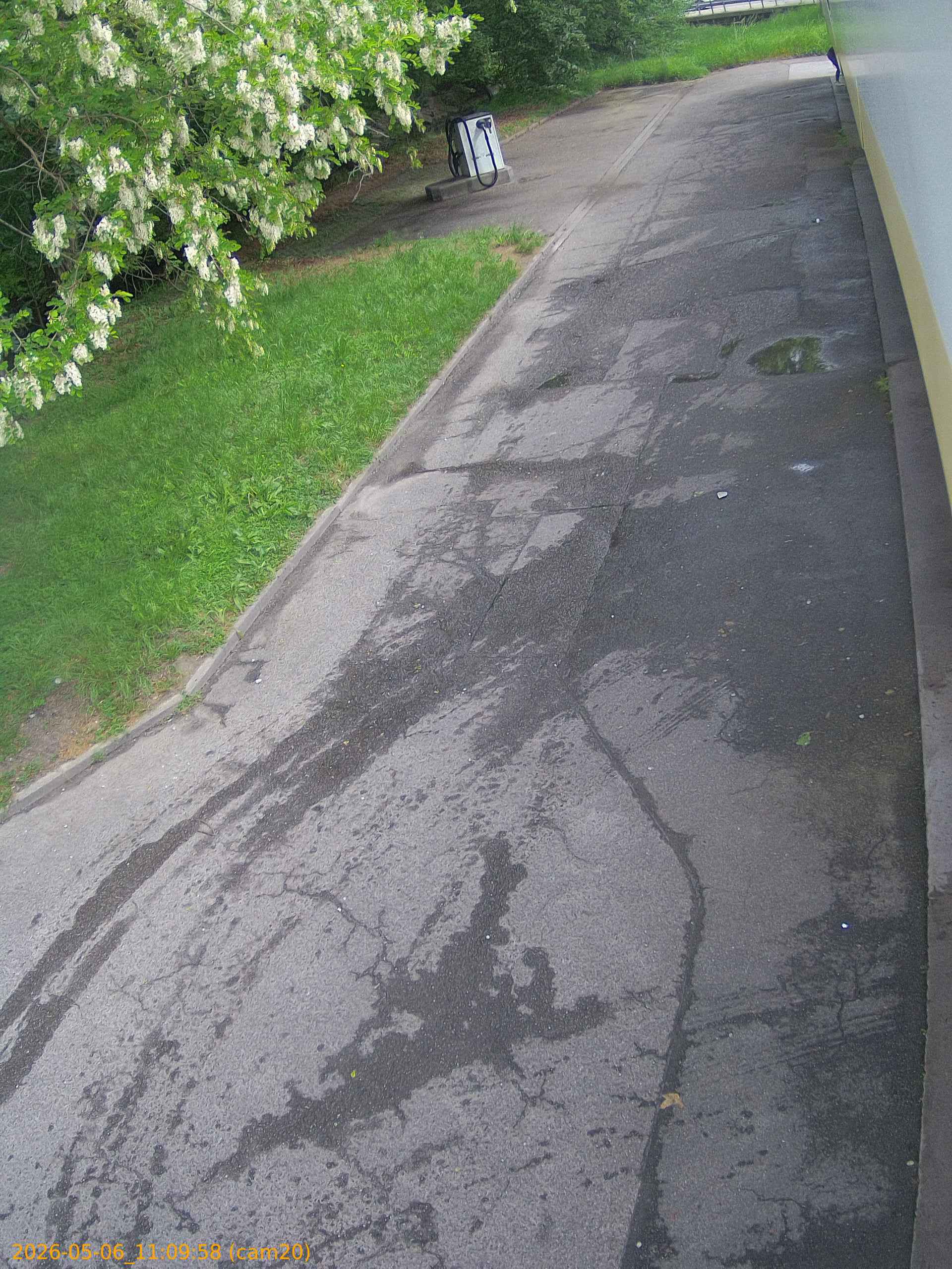 thumbnail_202605061109