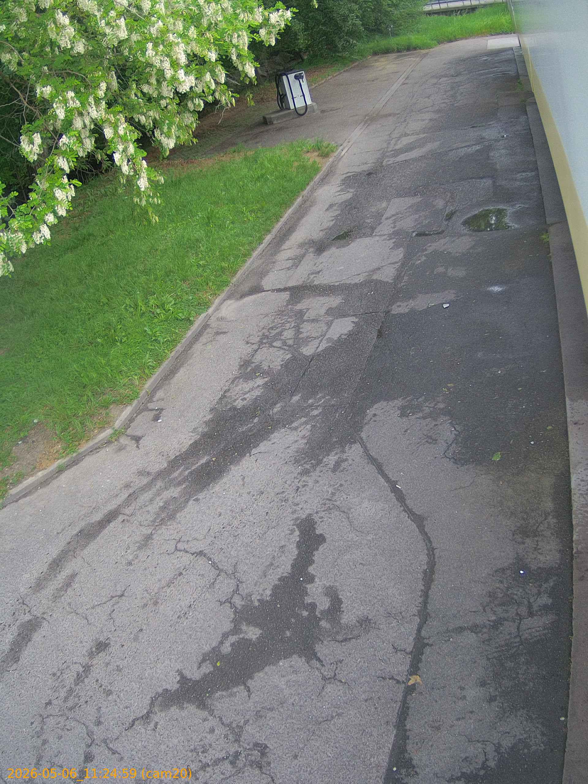 thumbnail_202605061124