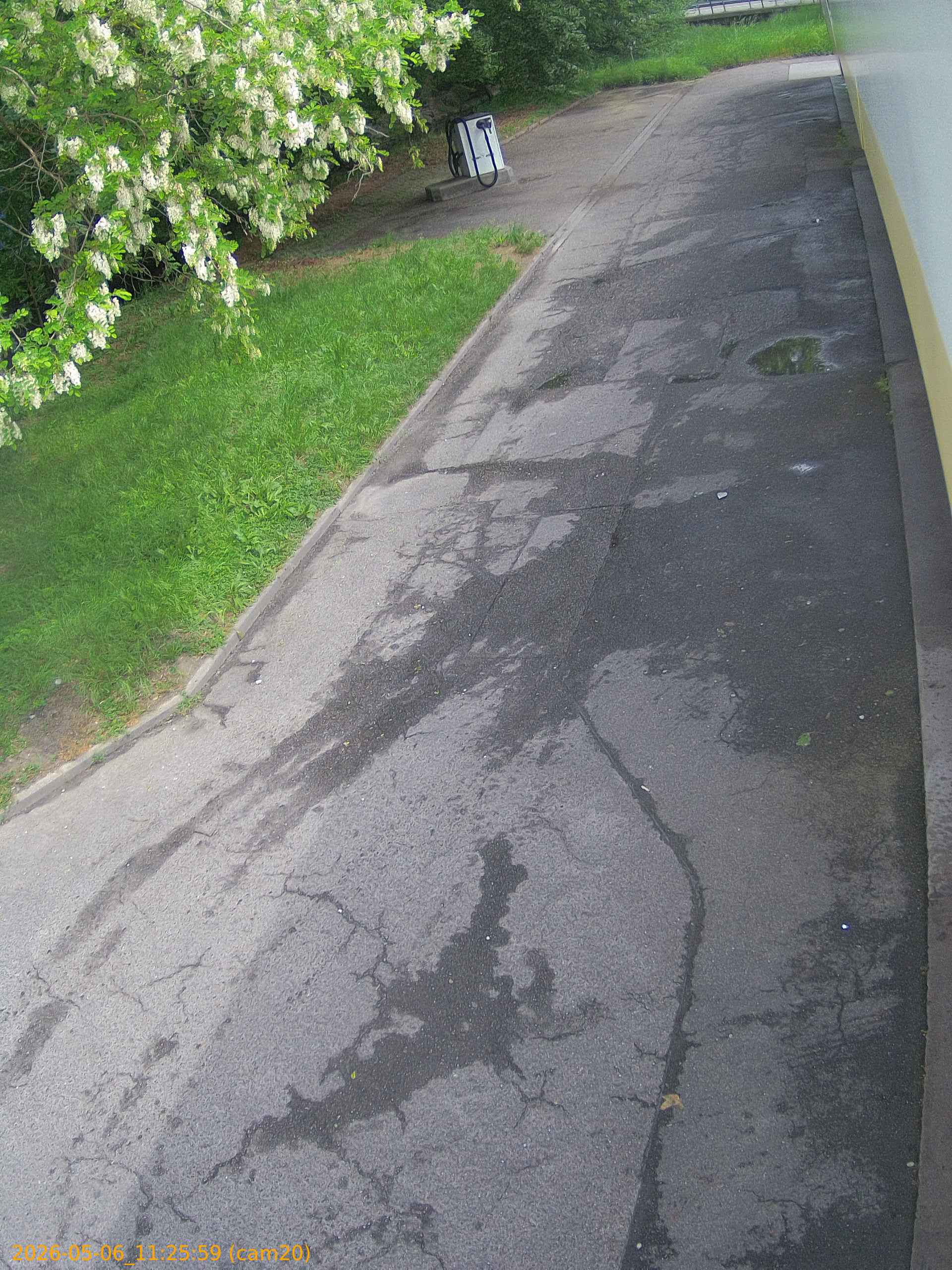 thumbnail_202605061125