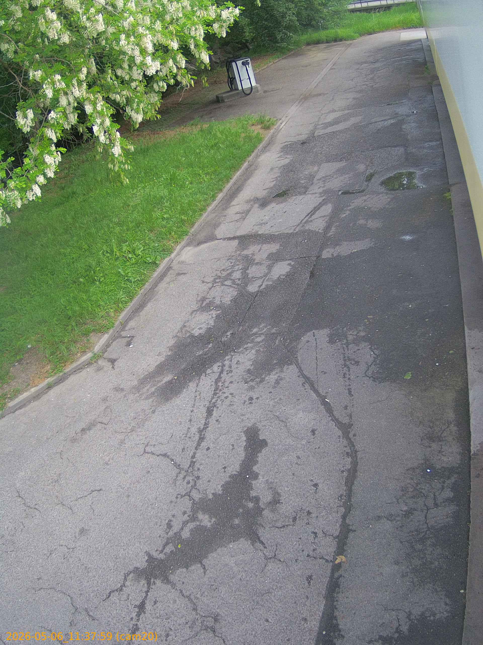 thumbnail_202605061137