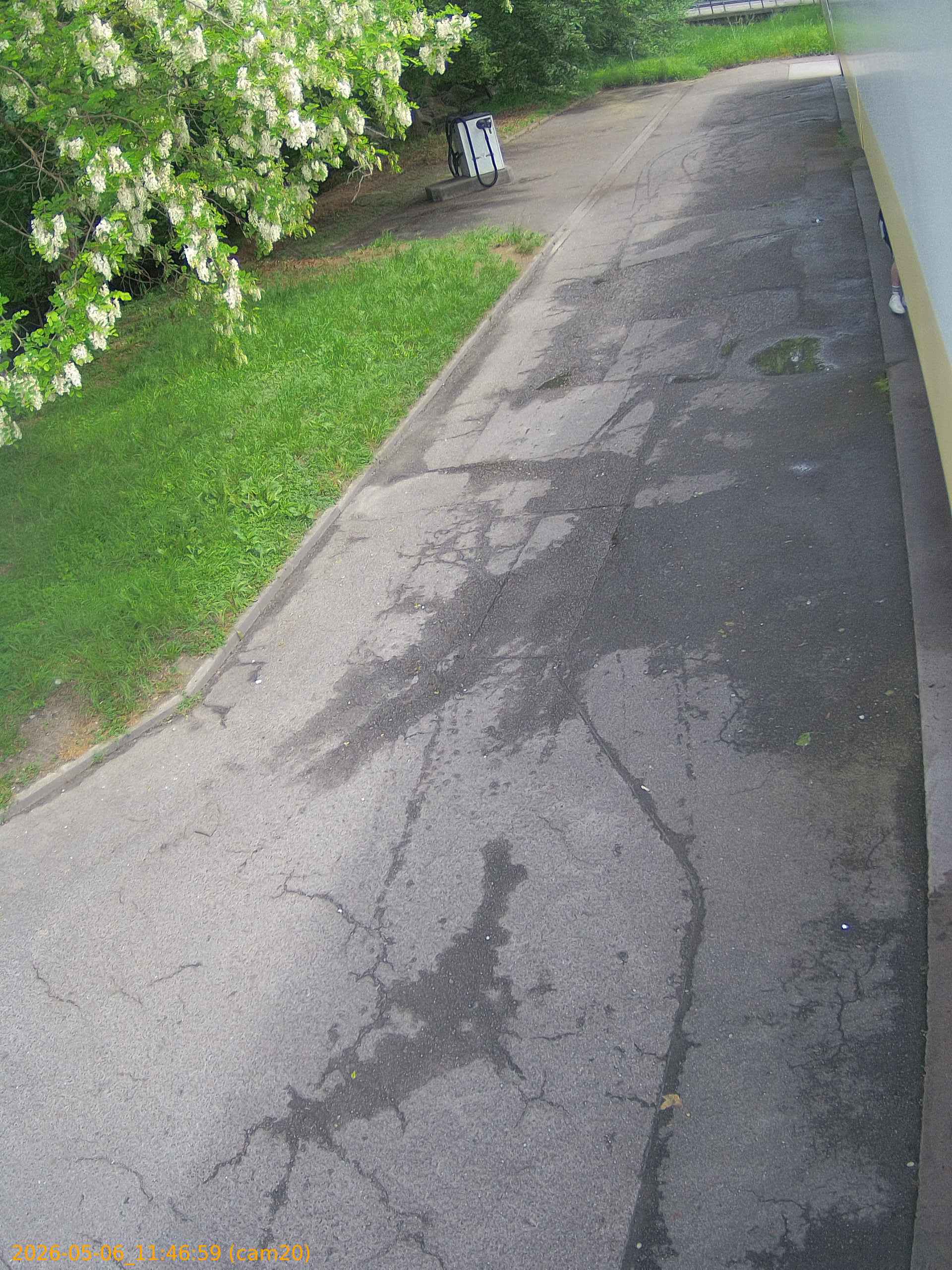 thumbnail_202605061146
