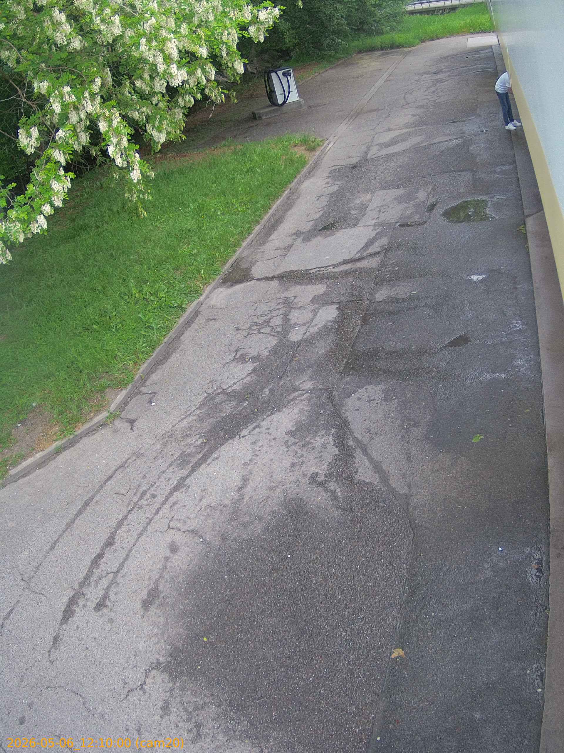 thumbnail_20260506121000