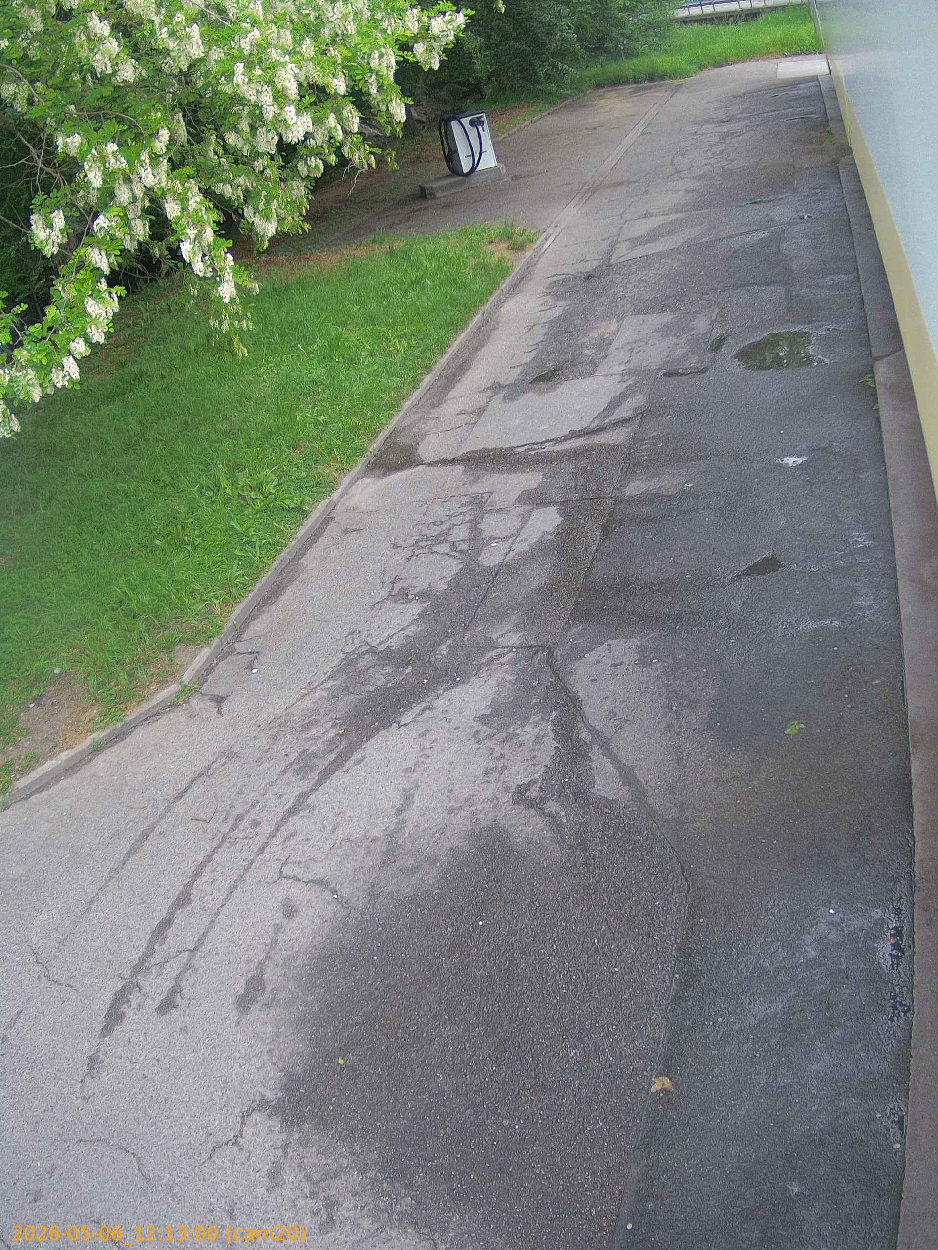 thumbnail_20260506121300