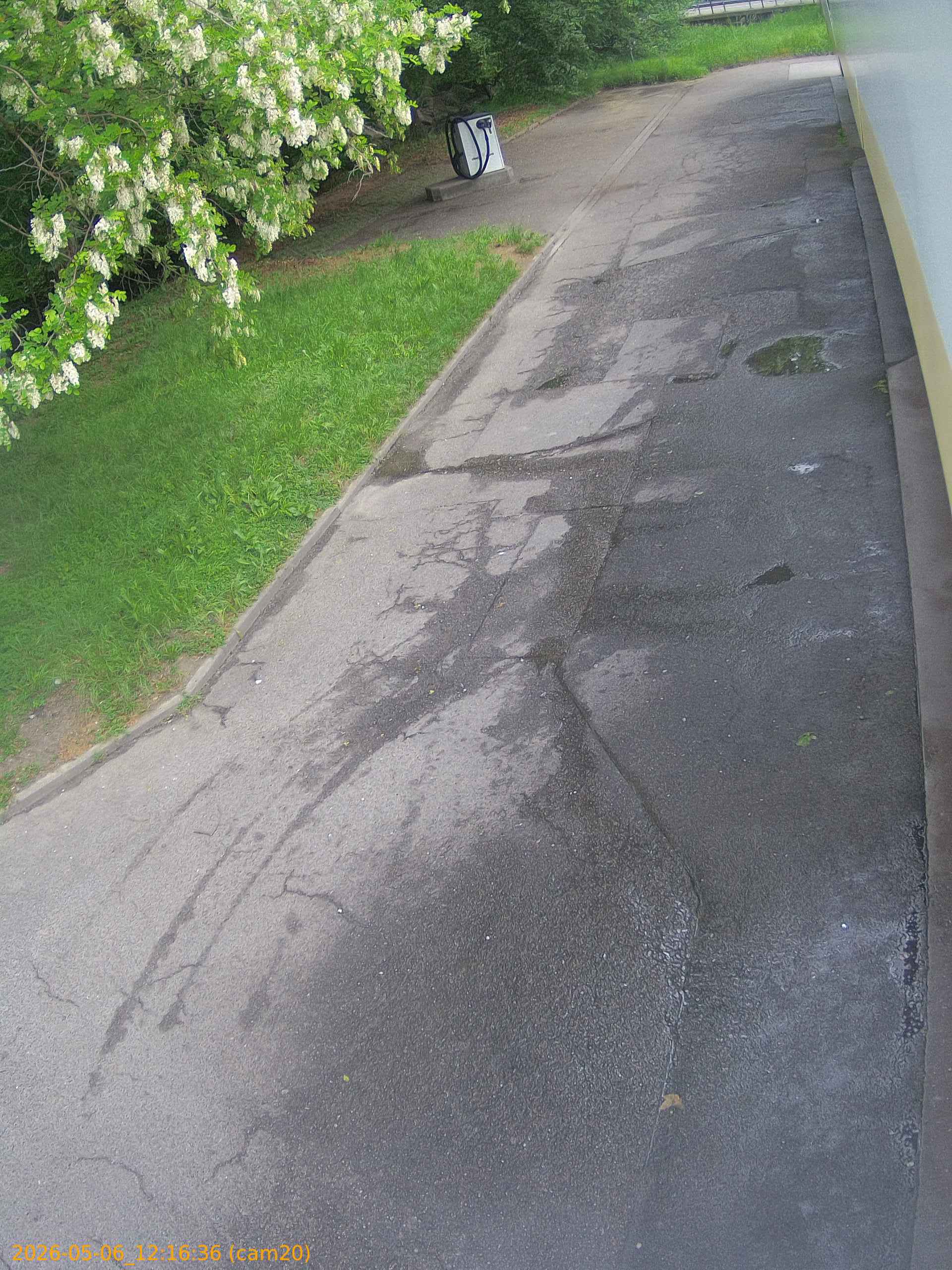 thumbnail_20260506121636