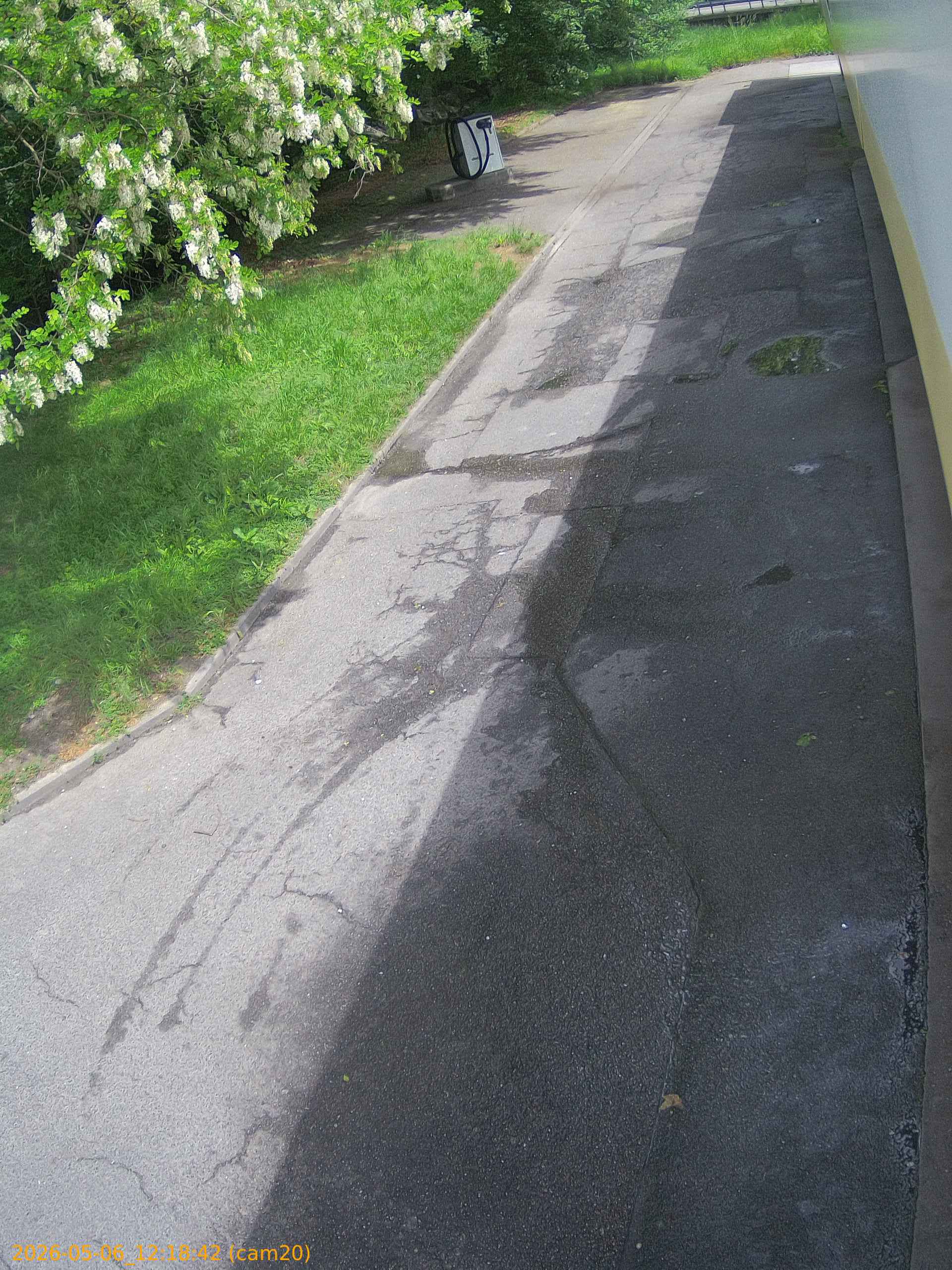 thumbnail_20260506121842