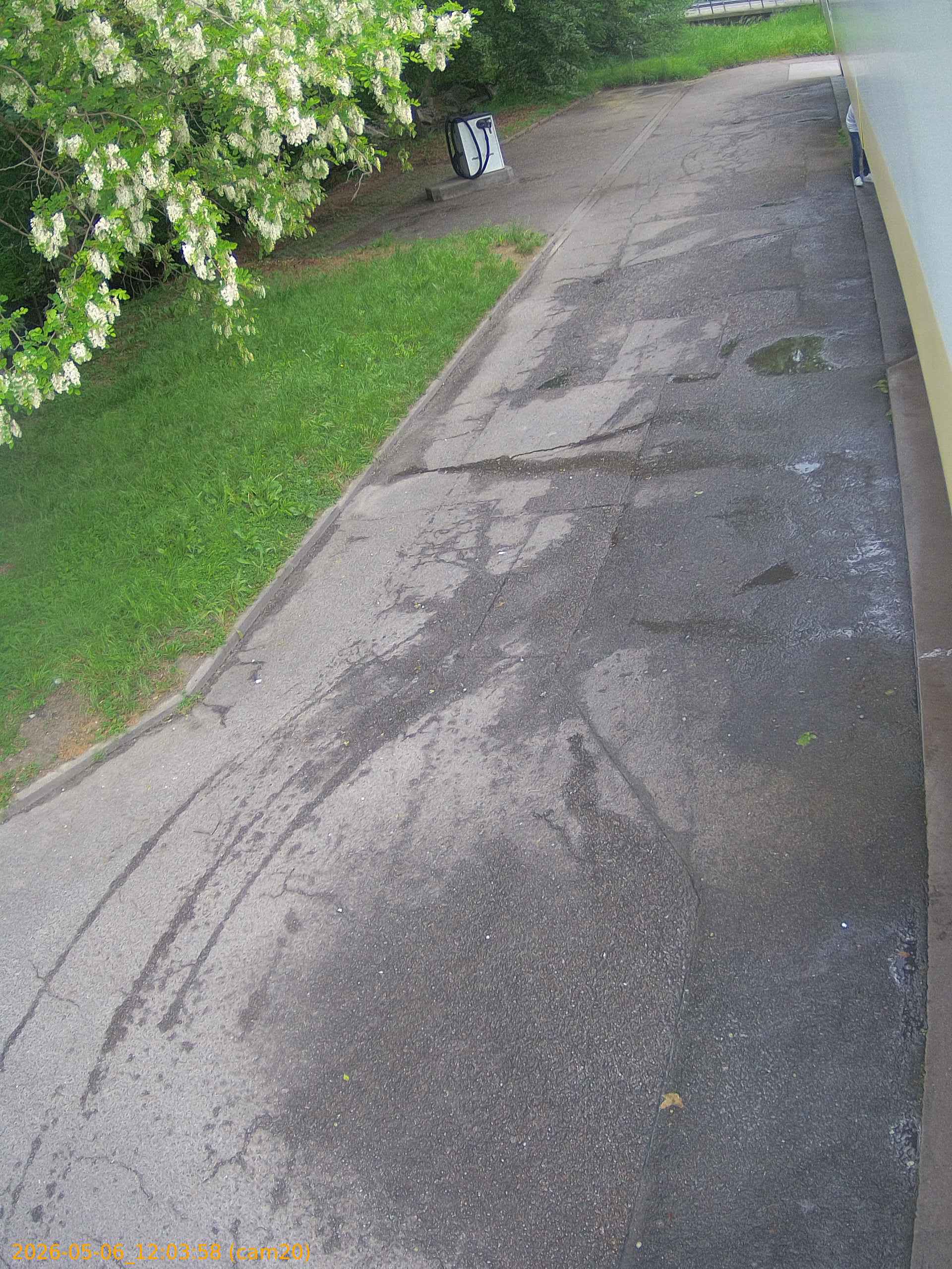 202605061203