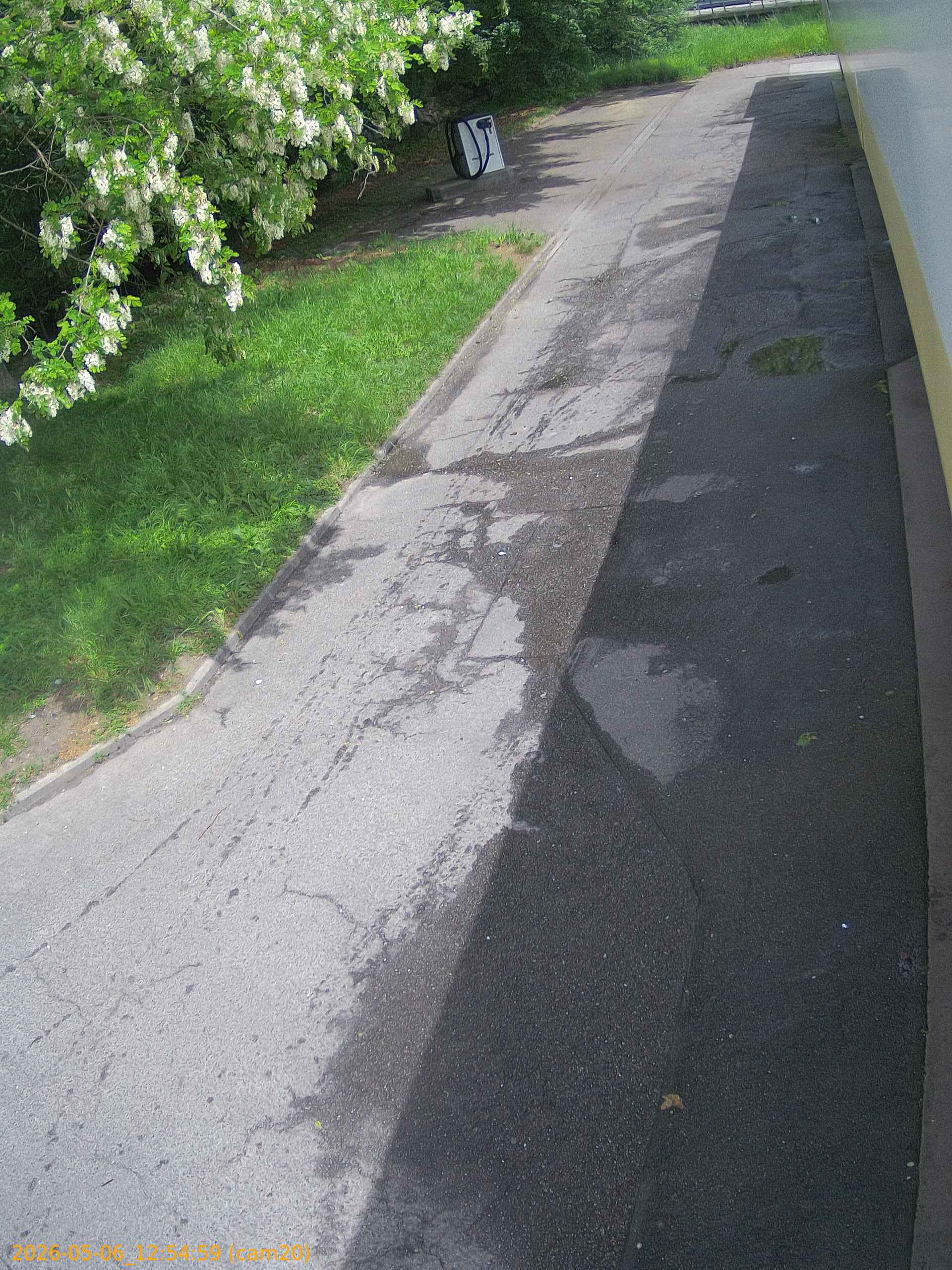 202605061254