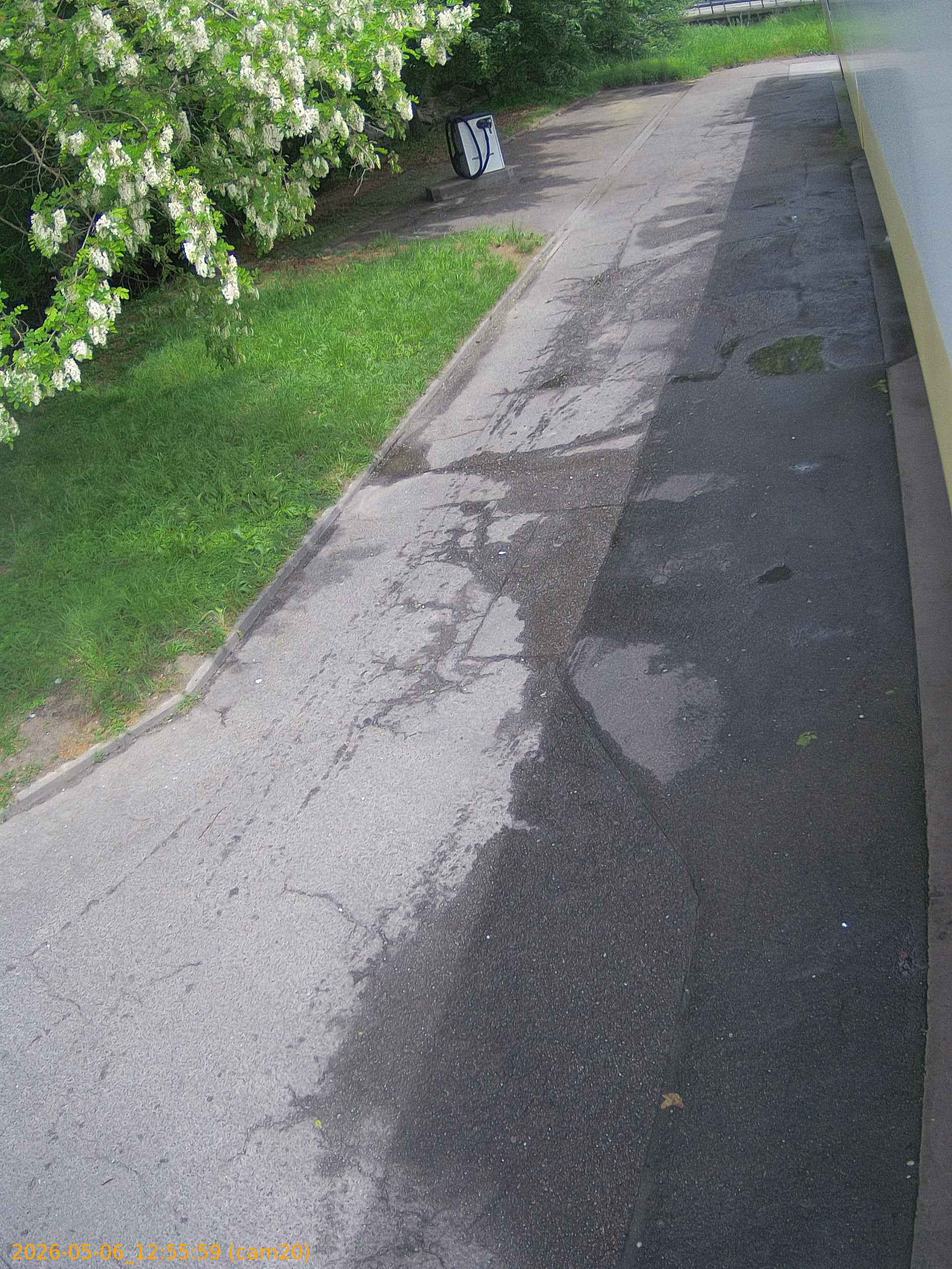 202605061255