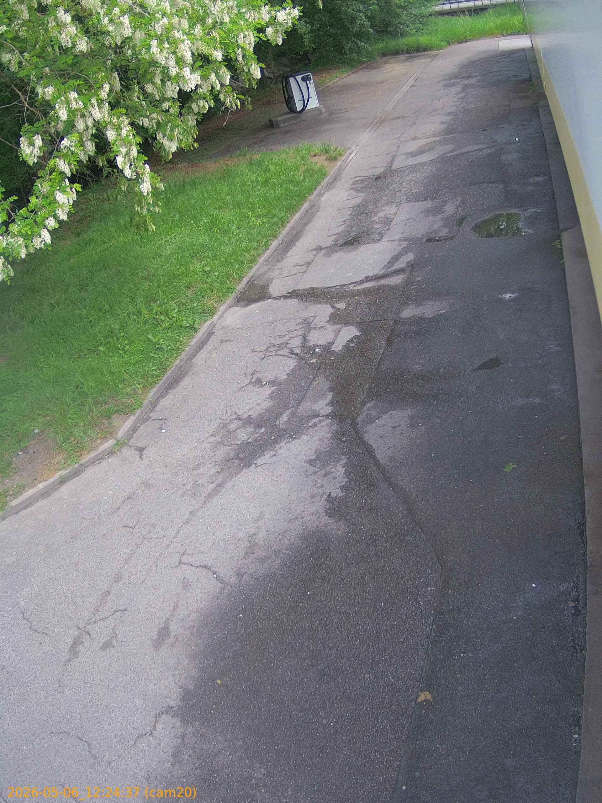 20260506122437