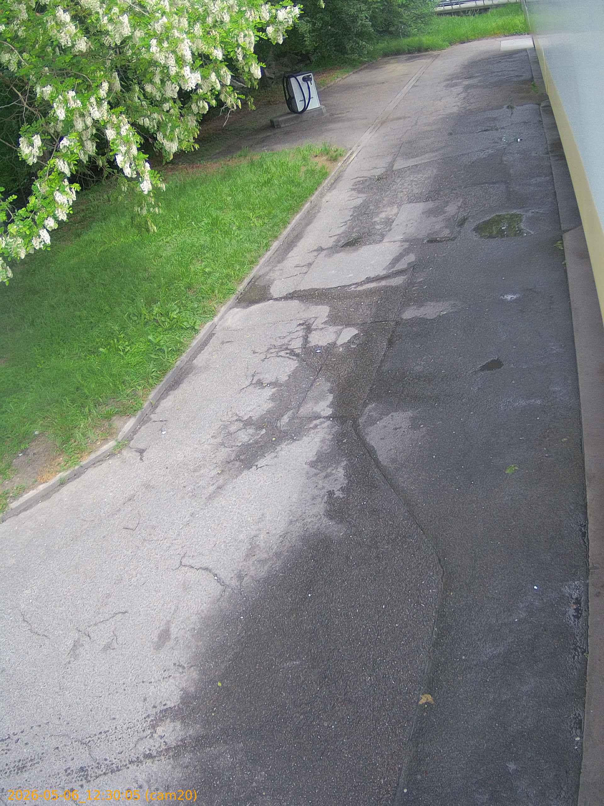 20260506123005