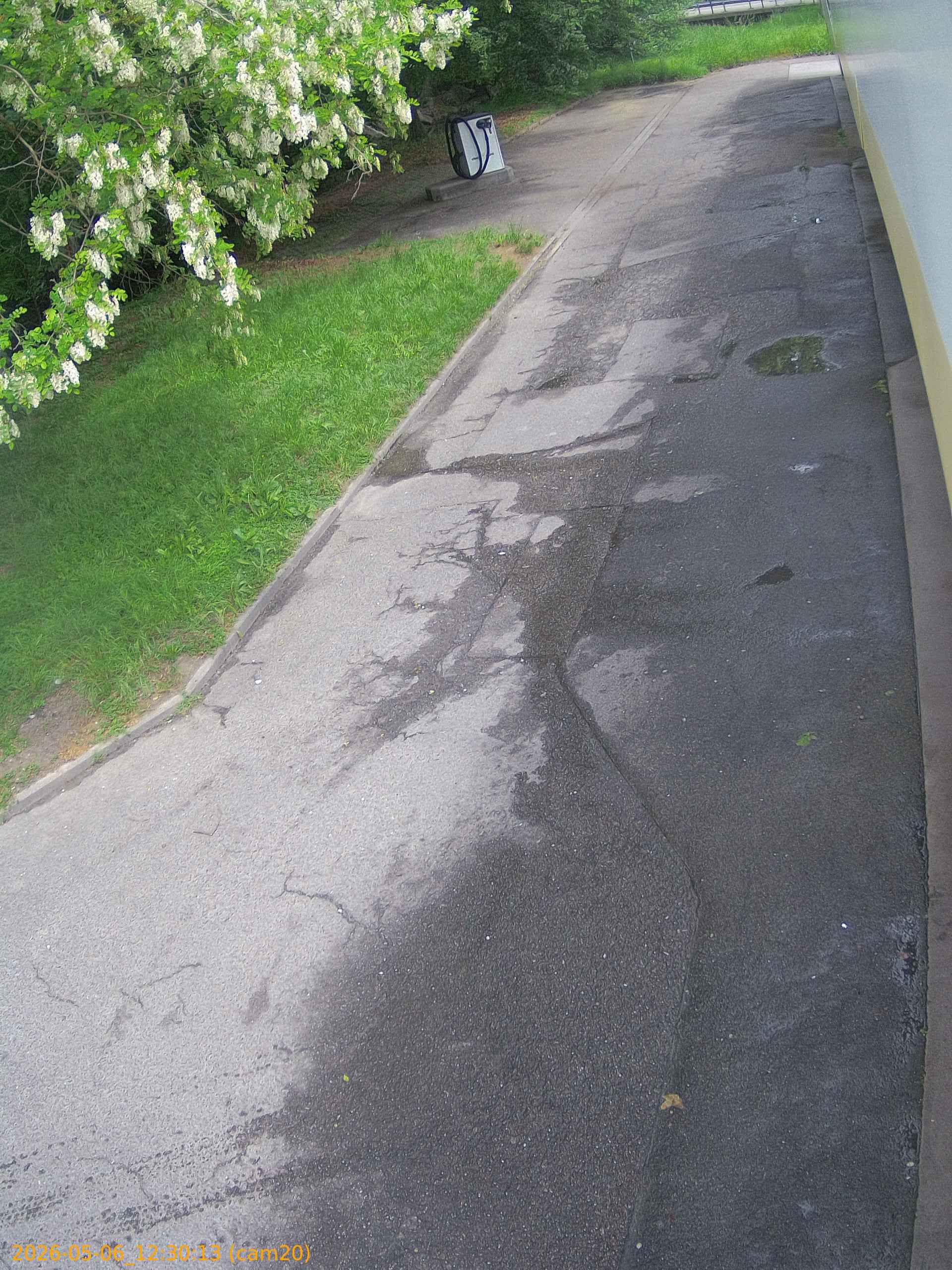 thumbnail_20260506123013