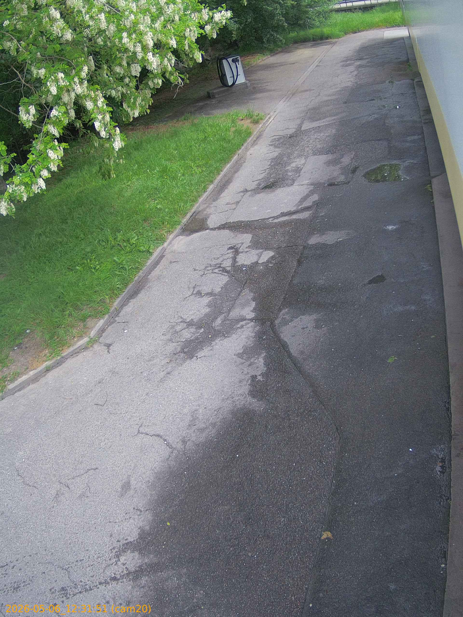 20260506123151