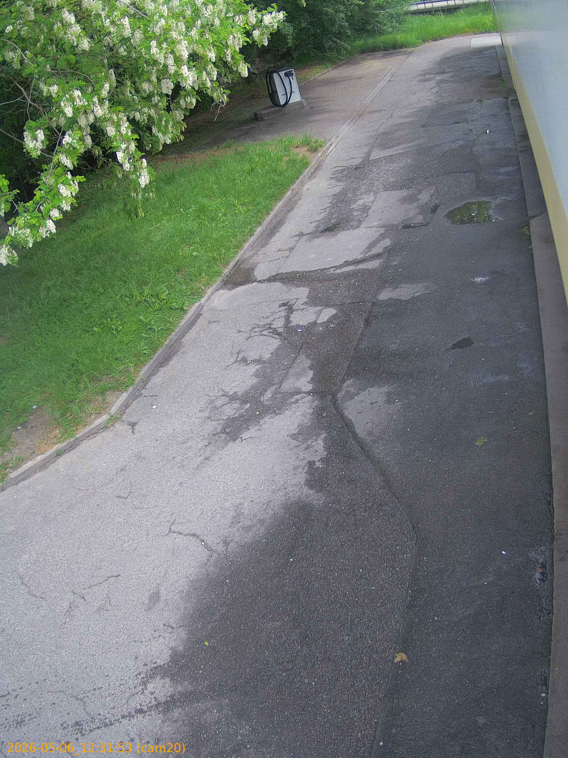 20260506123153