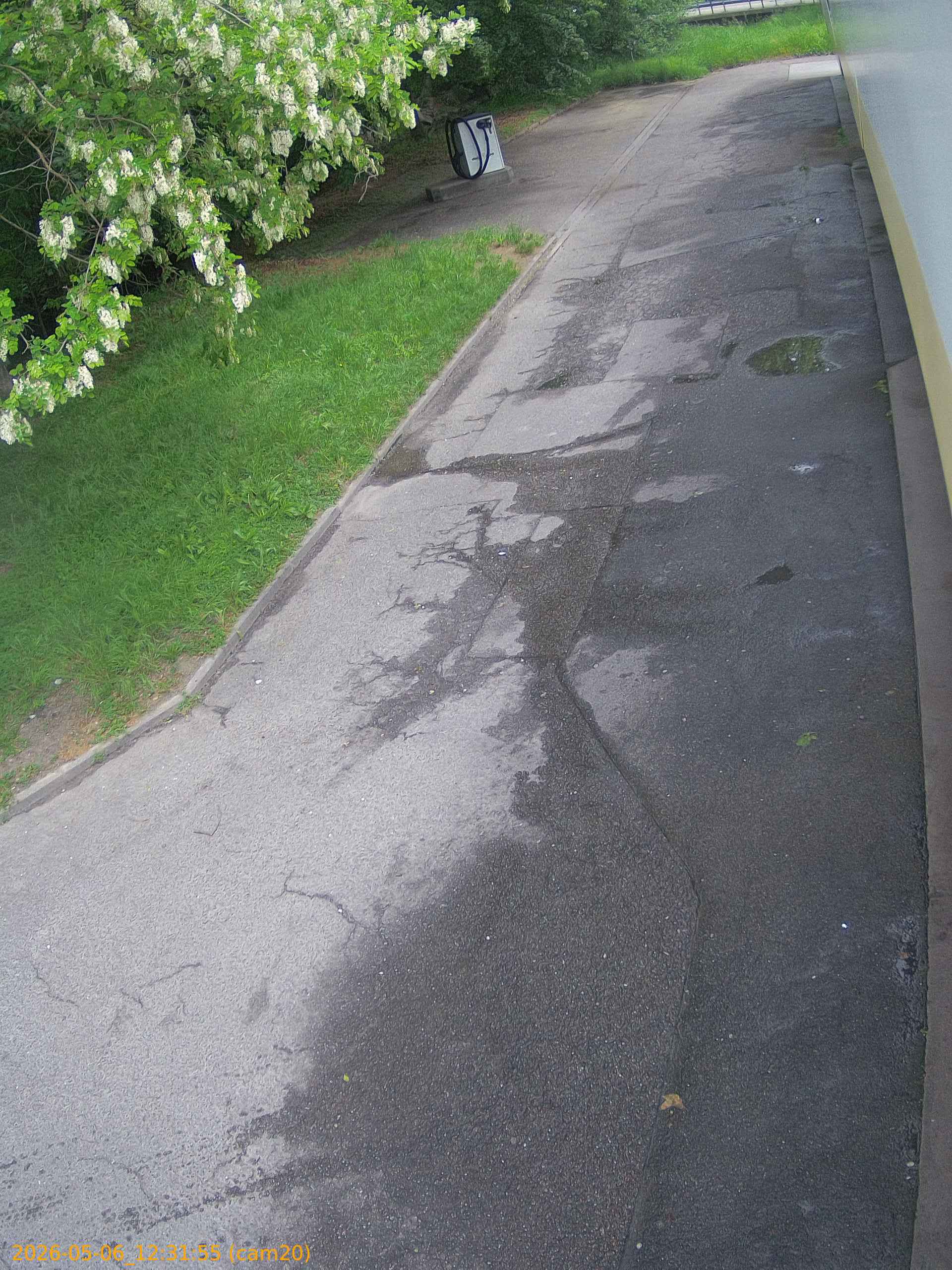 20260506123155