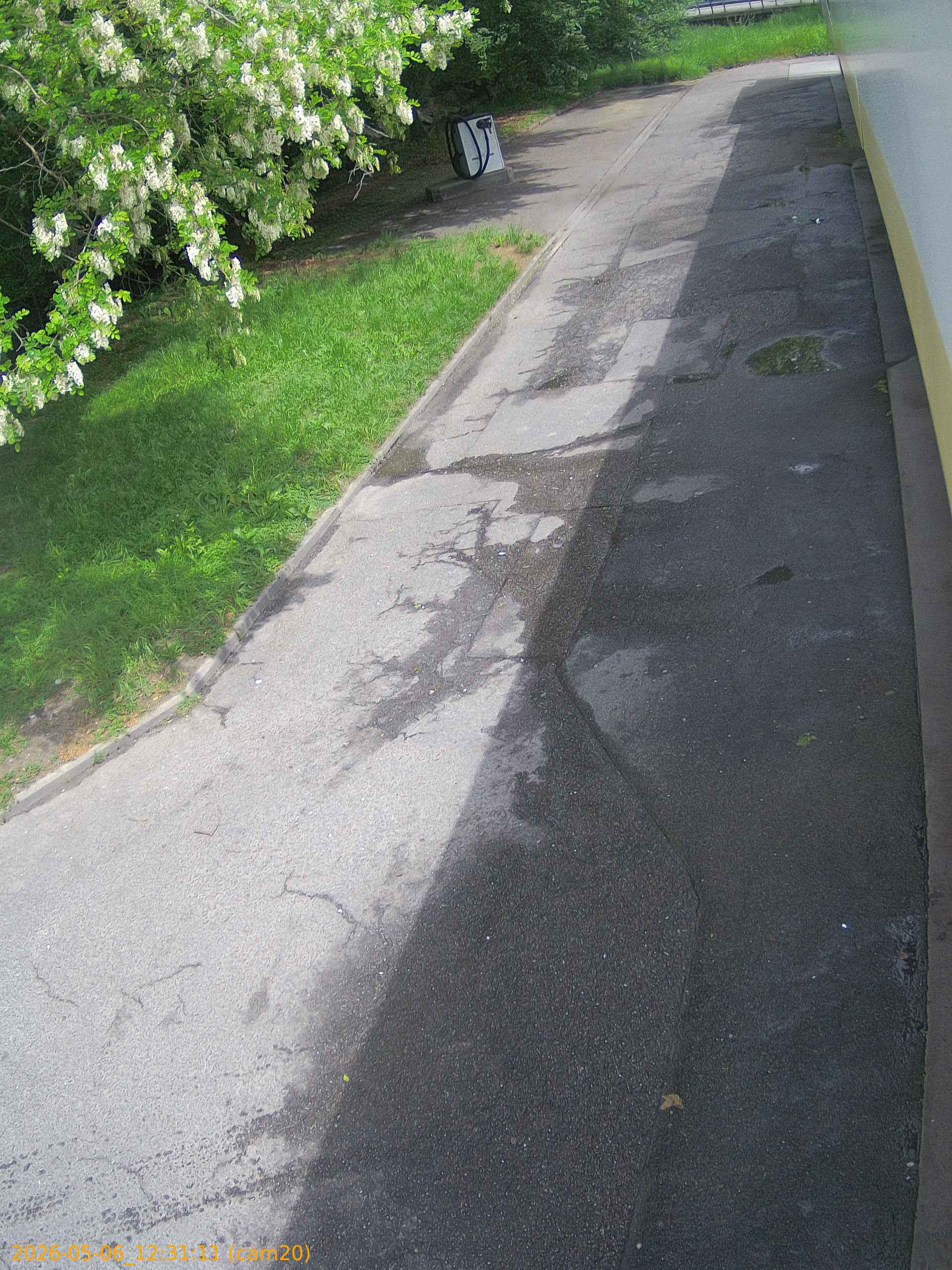 thumbnail_20260506123111