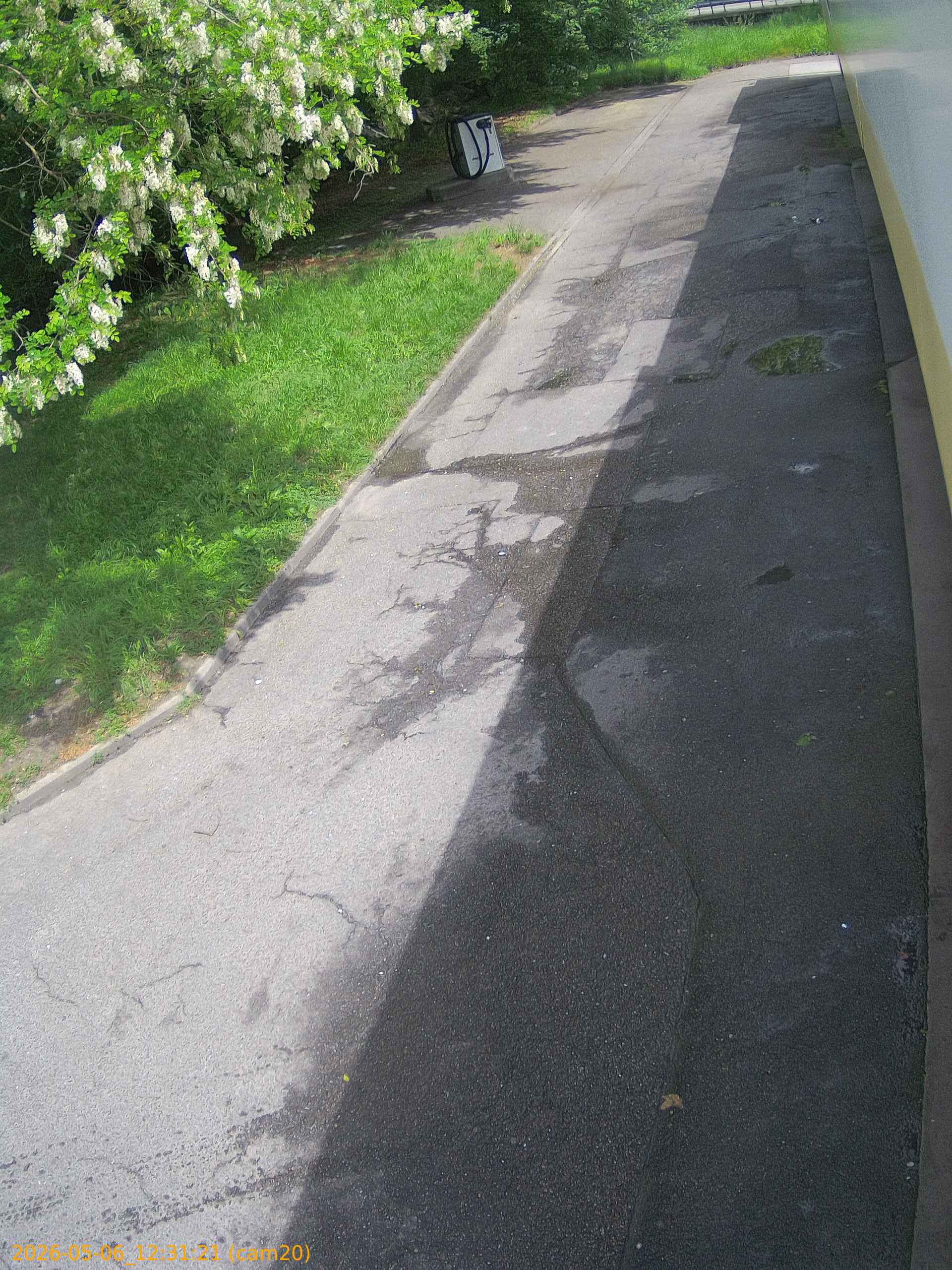 thumbnail_20260506123121